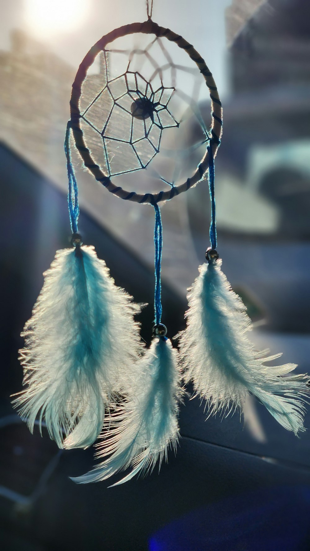 a close up of a blue and white feathered bird