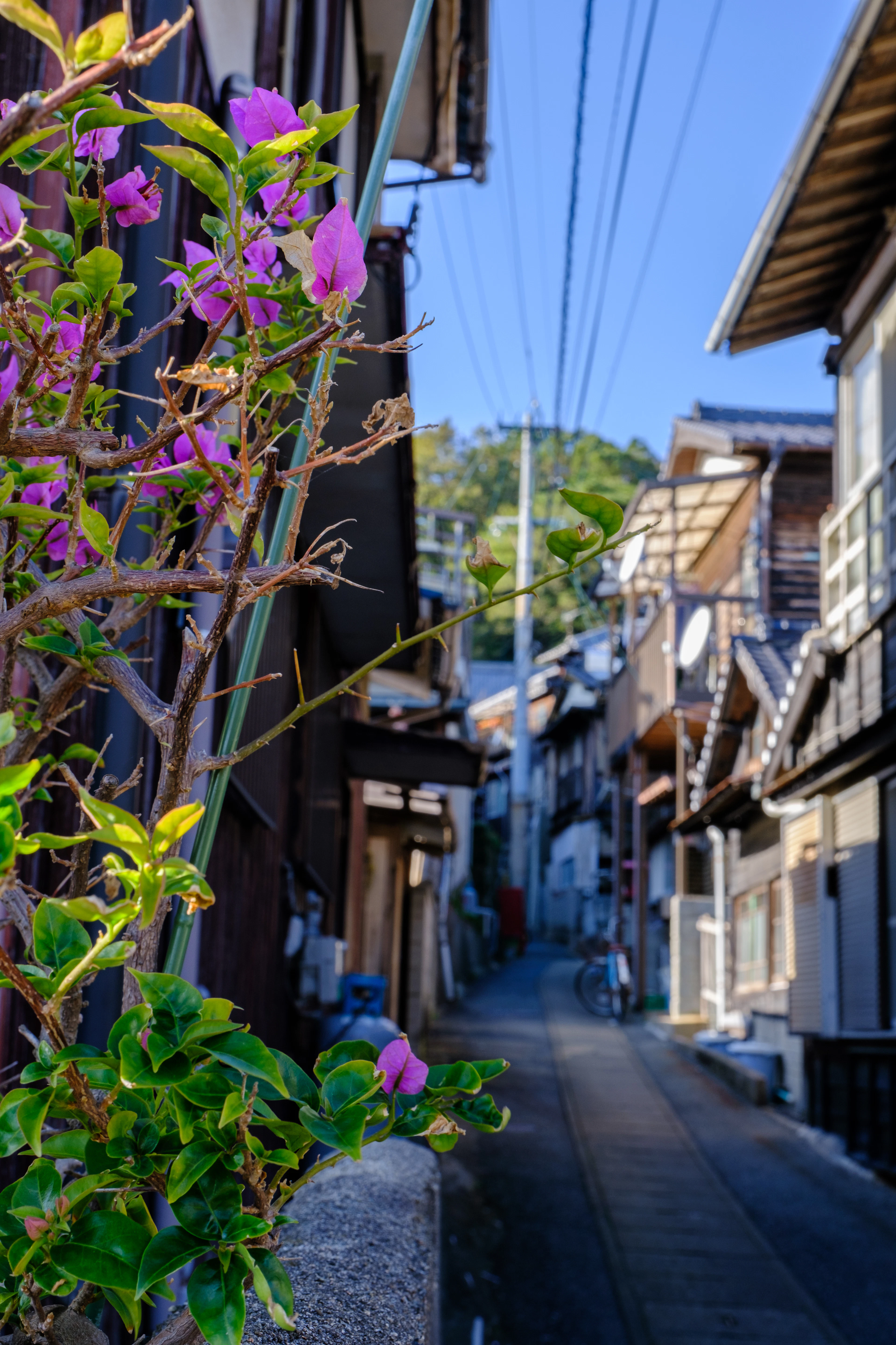 The old town of Fukuoka, Japan