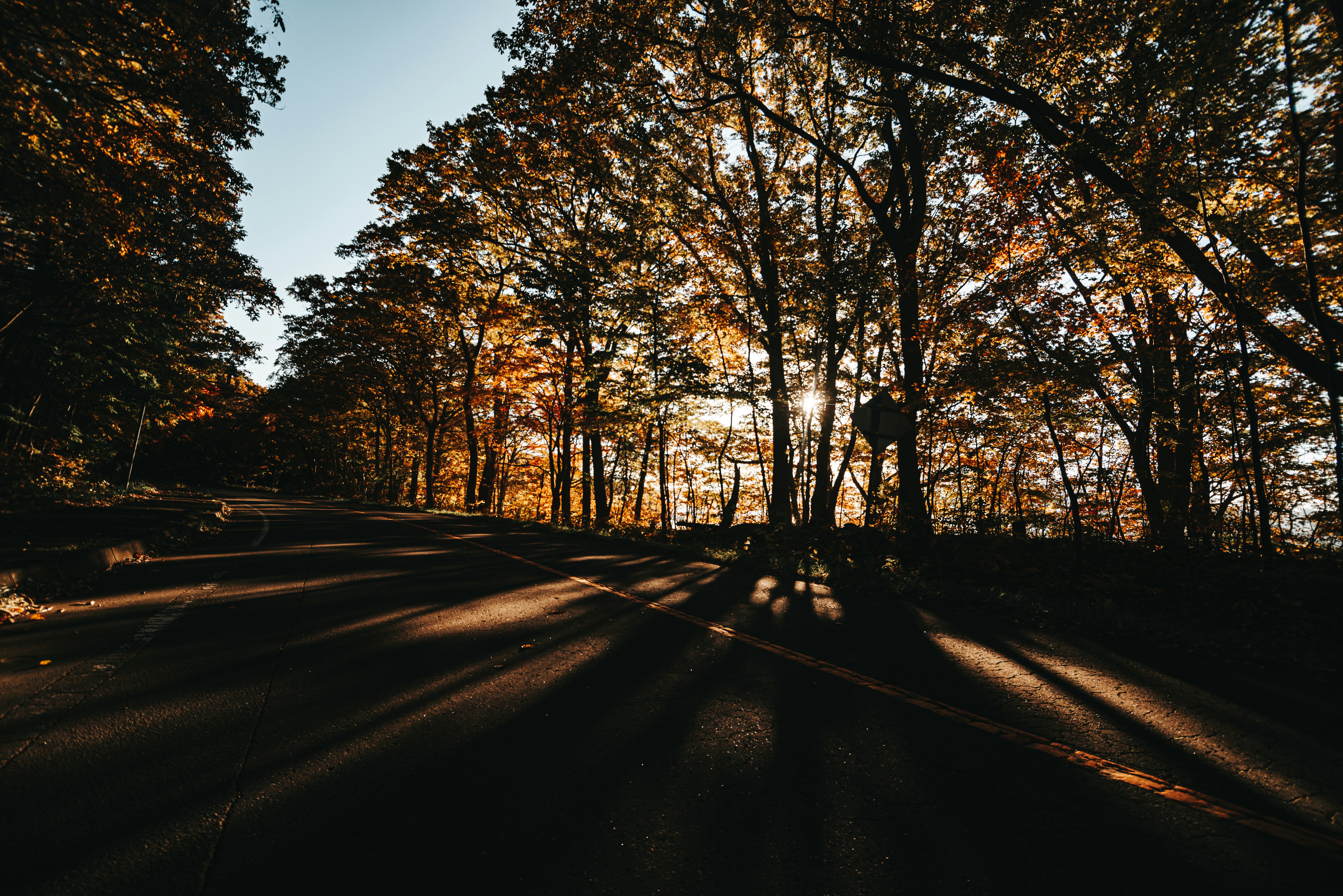 Photo by terra_gallery