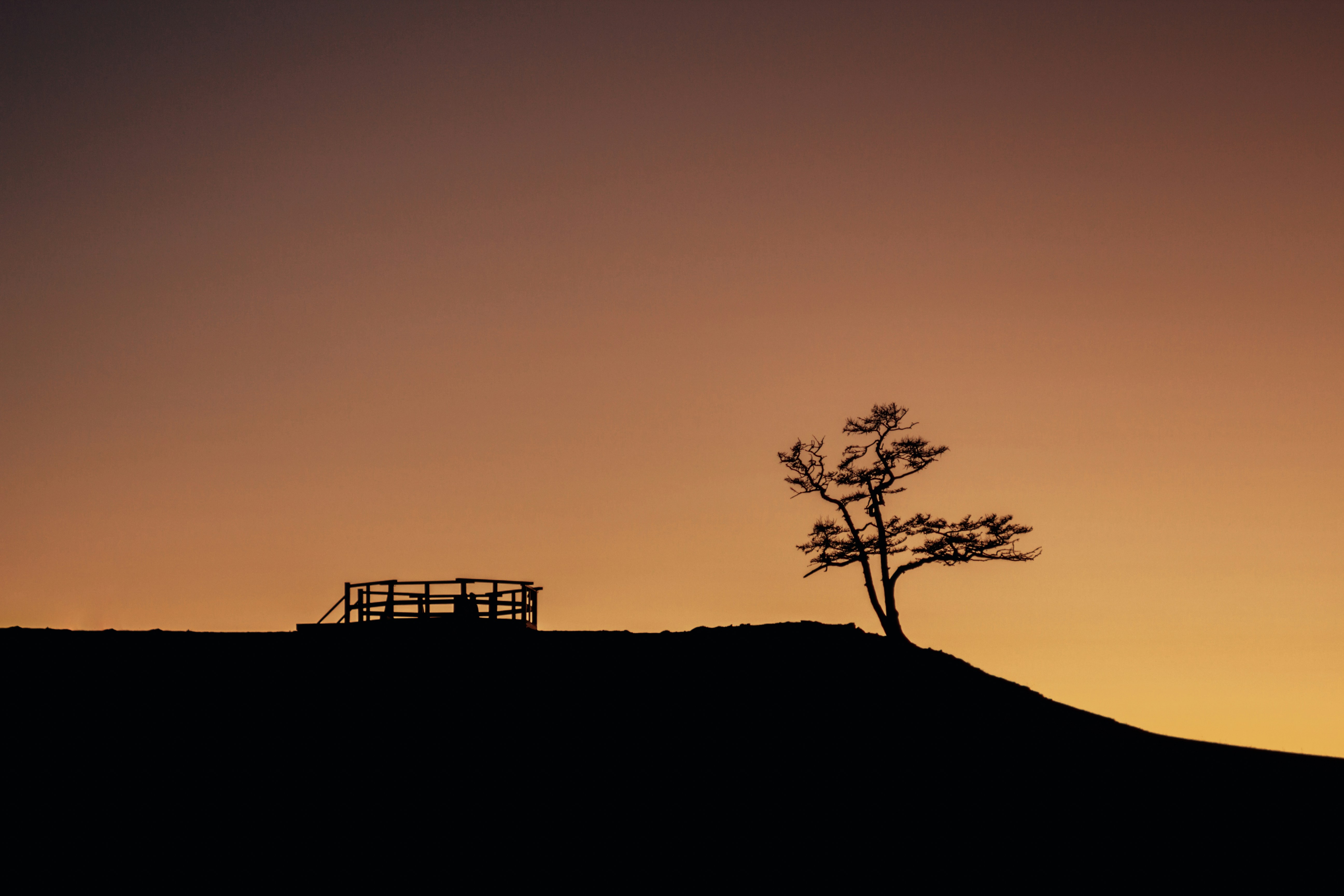 Photo by sam_badmaeva