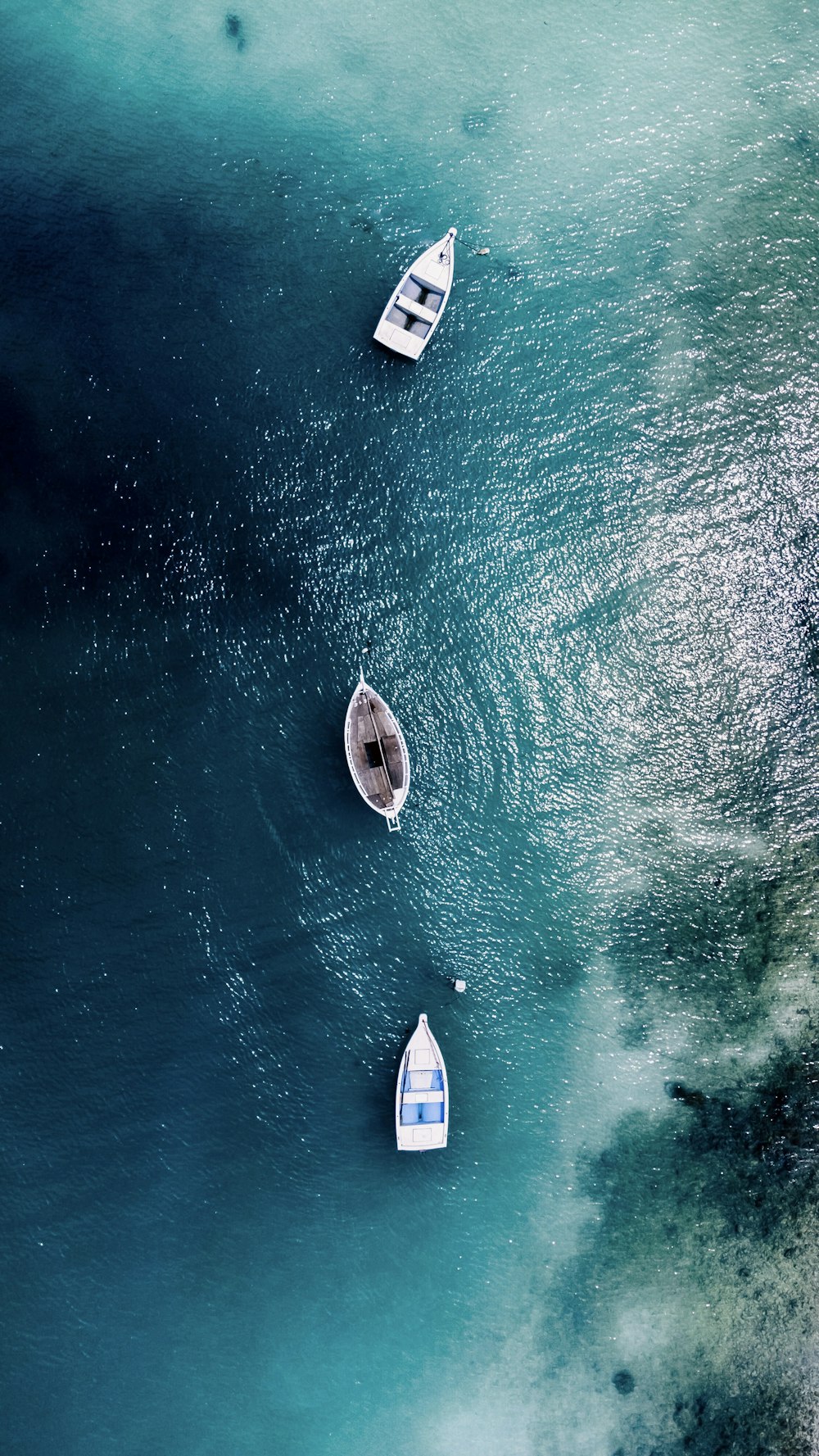 a group of sailboats on the ocean
