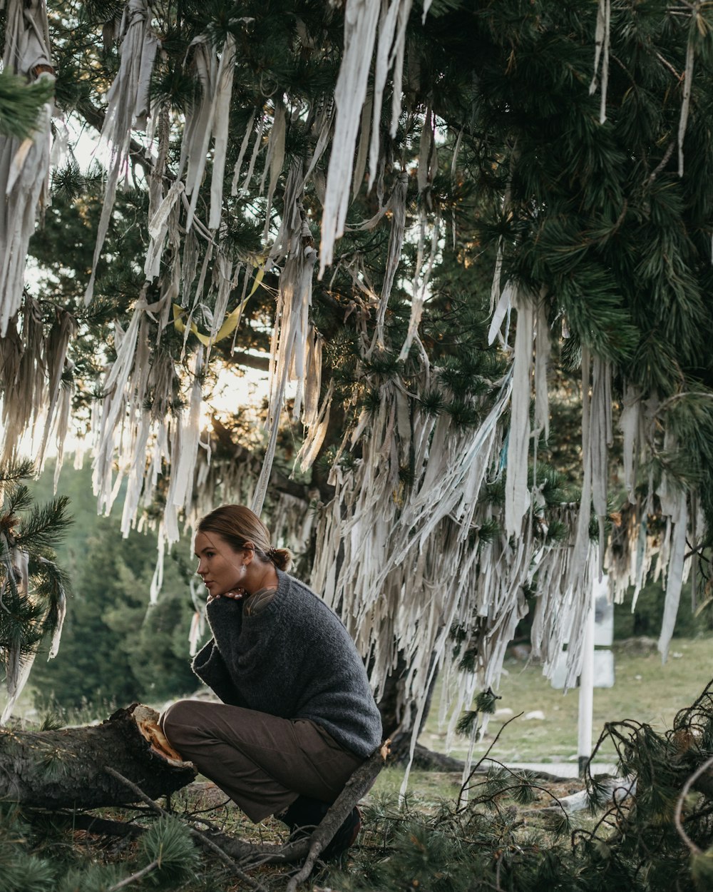 a man sitting on a tree branch