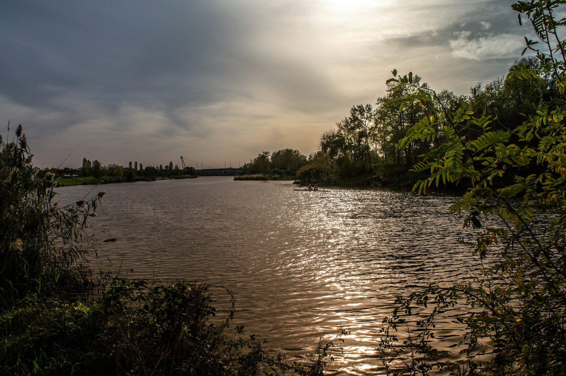 a body of water with trees around it