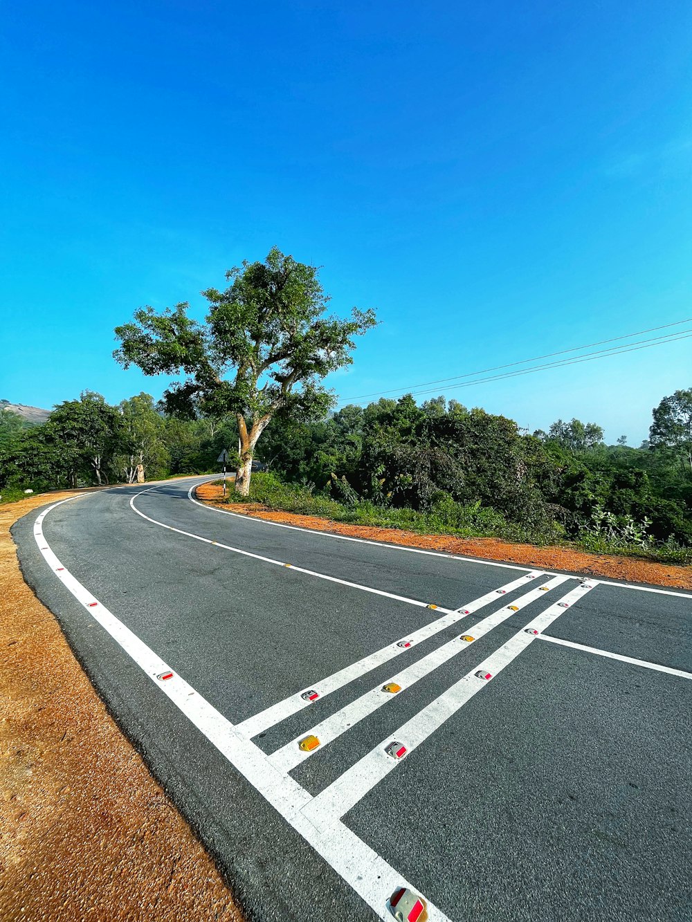 a road with a tree on the side