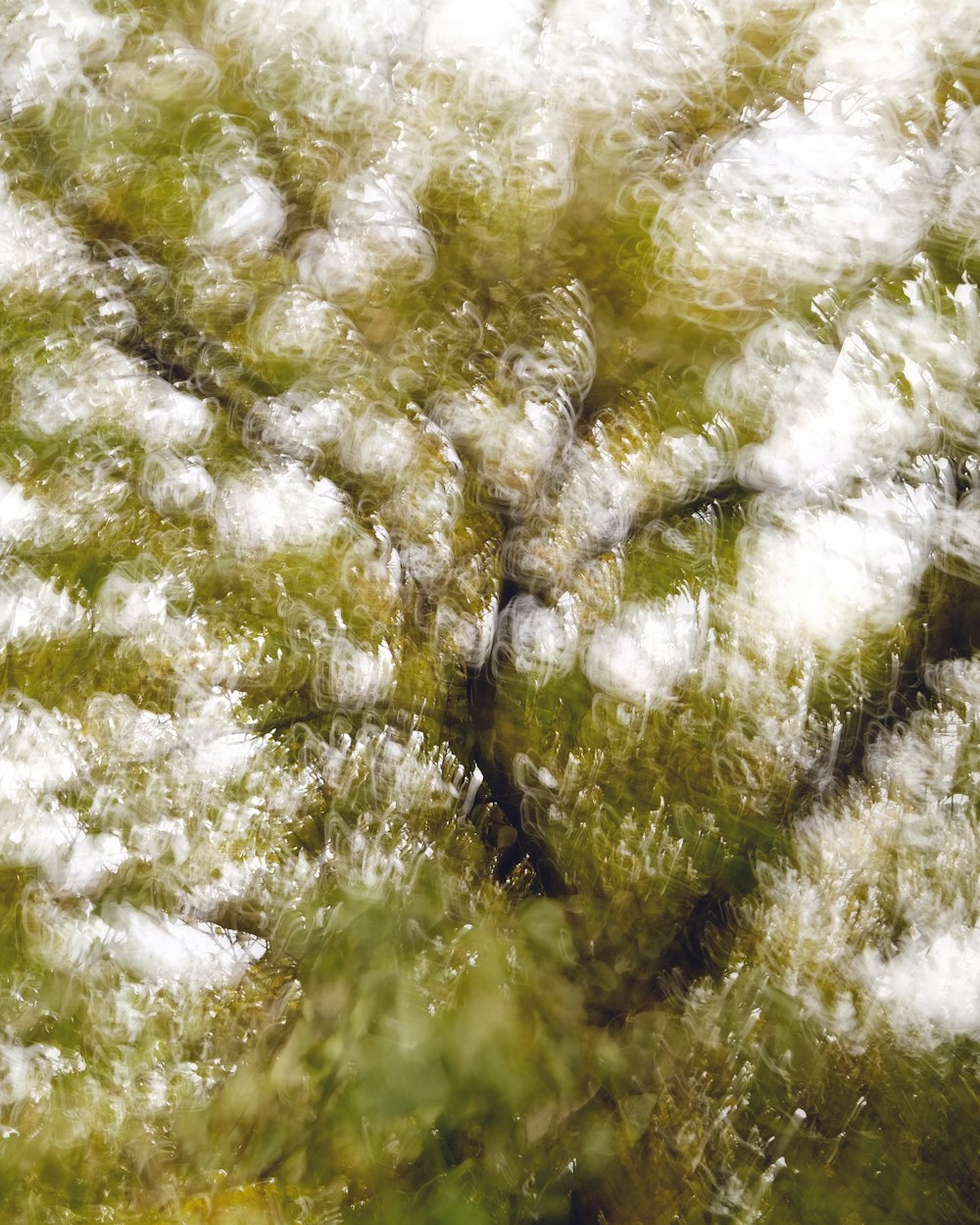 a person walking on a path covered in snow