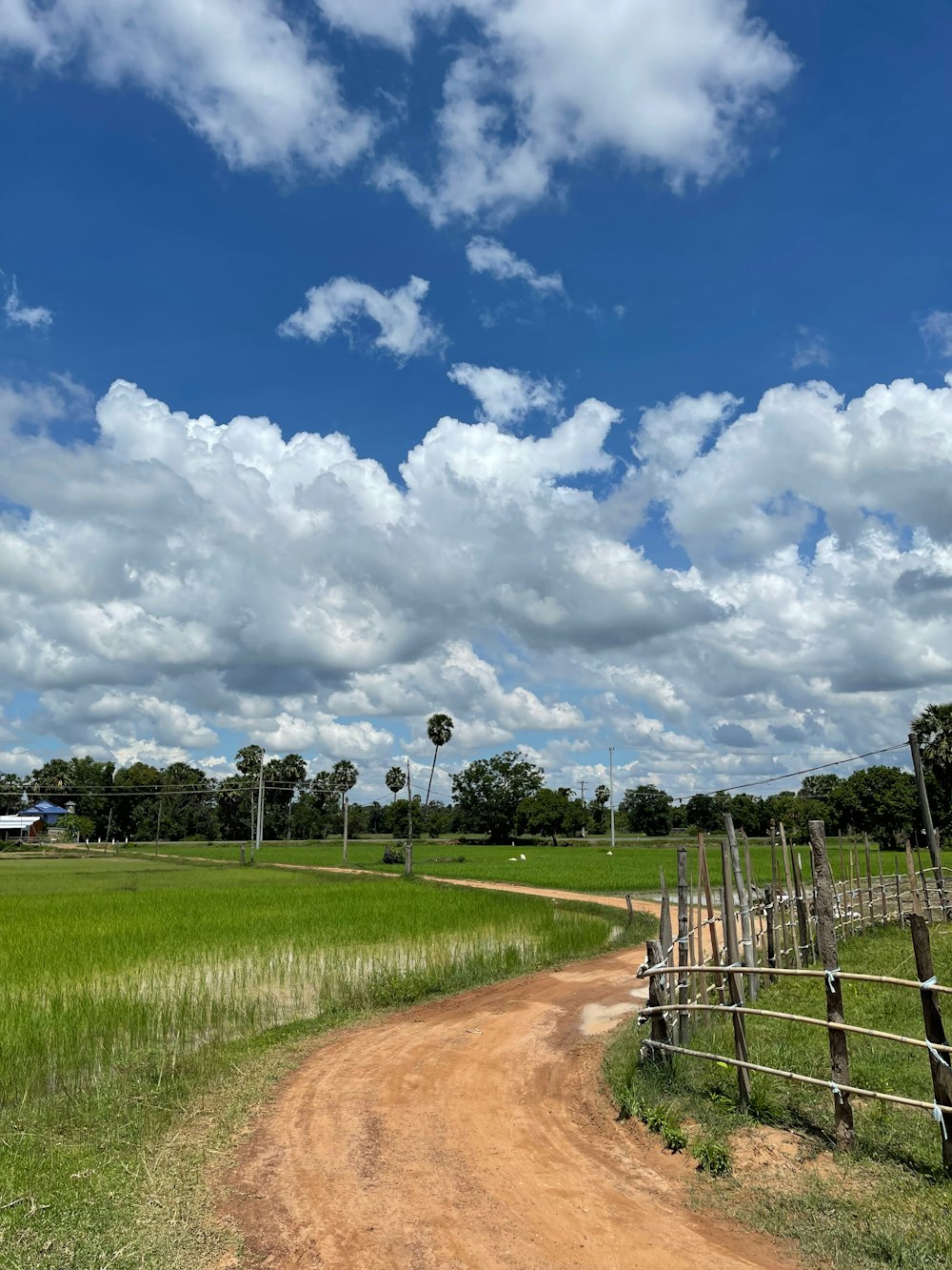 a dirt road in a field