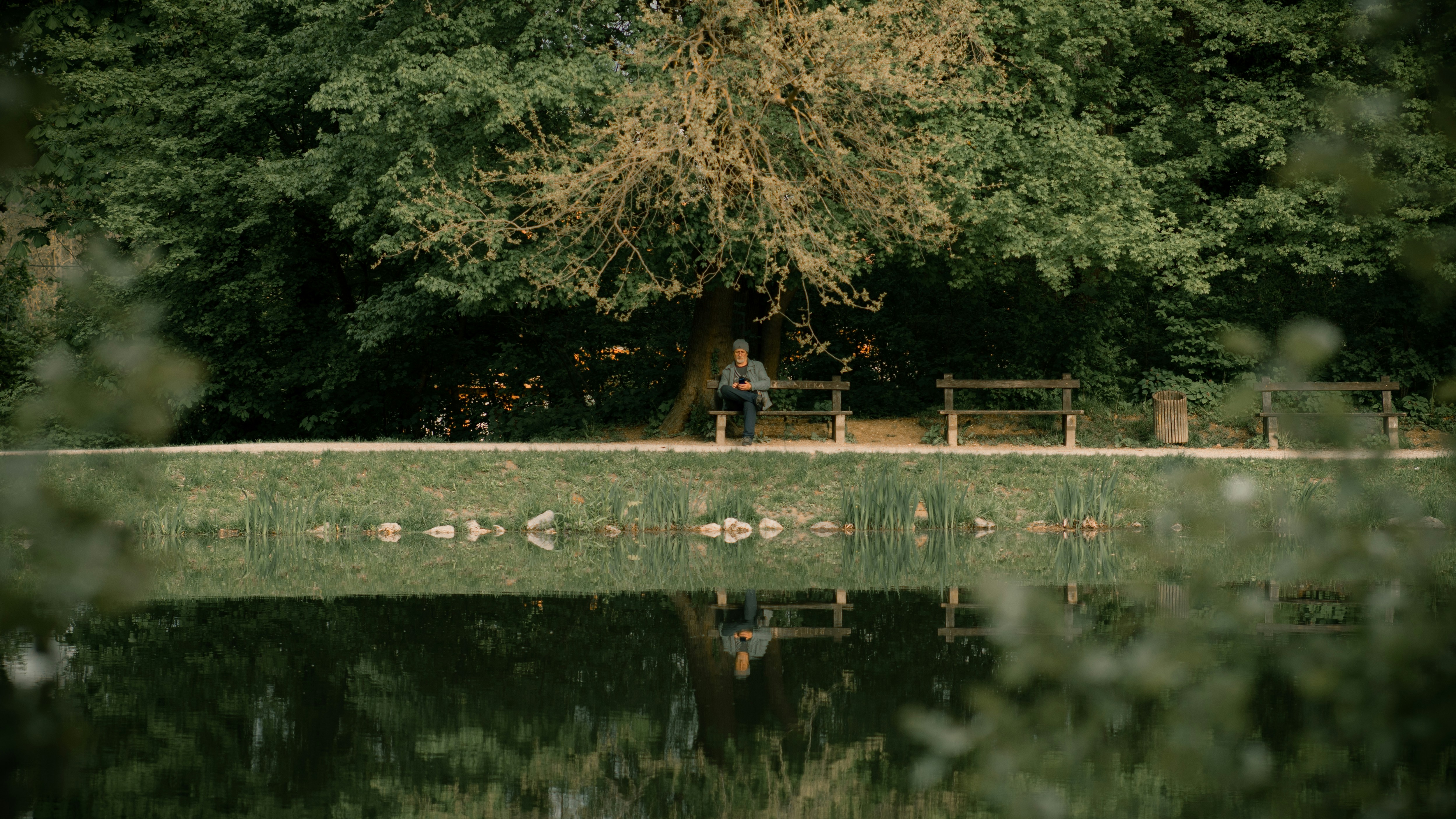 A person sitting on a bench by a lake