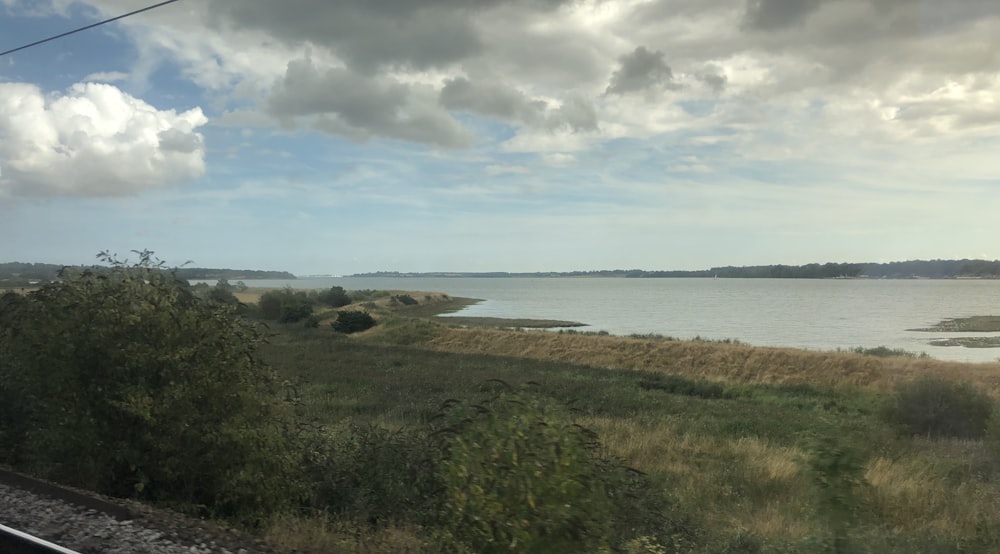 a grassy area next to a body of water