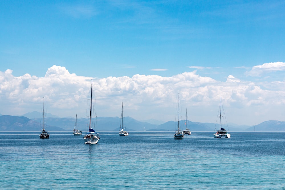 a group of boats on the water