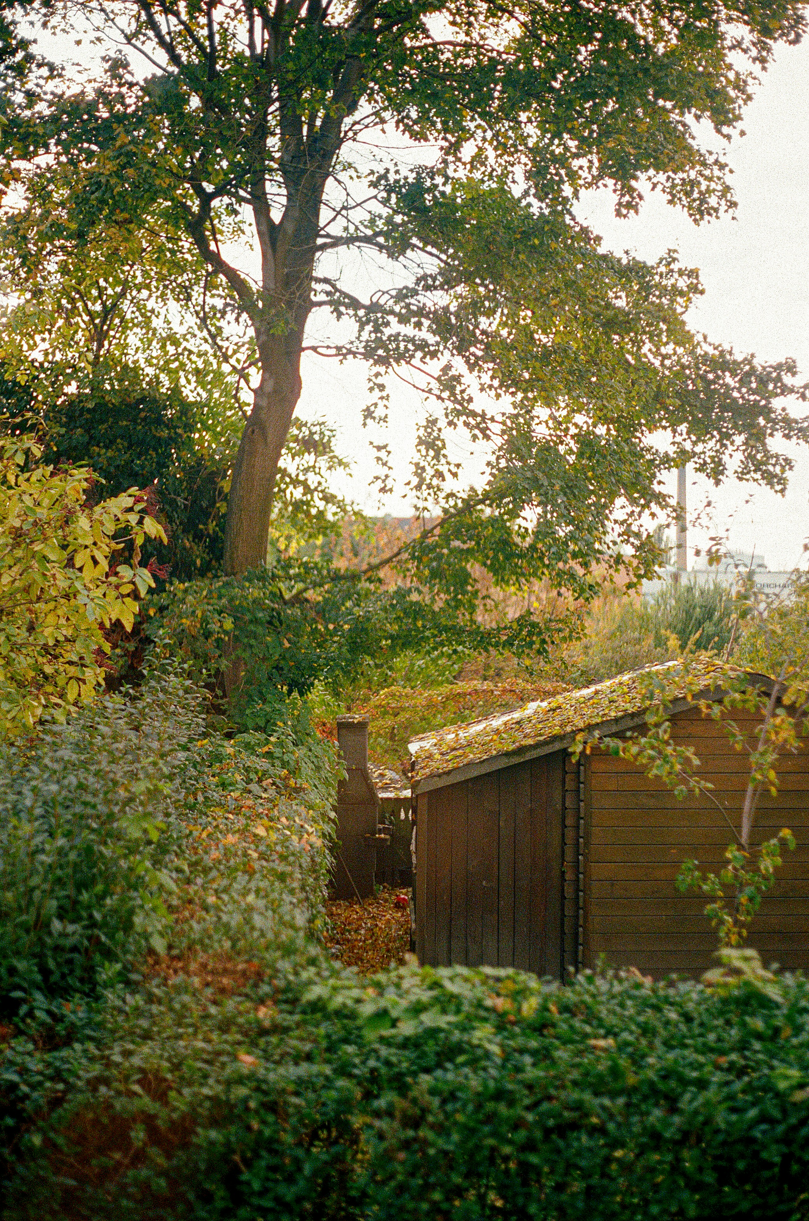 Photo by ivasyk_maryan25