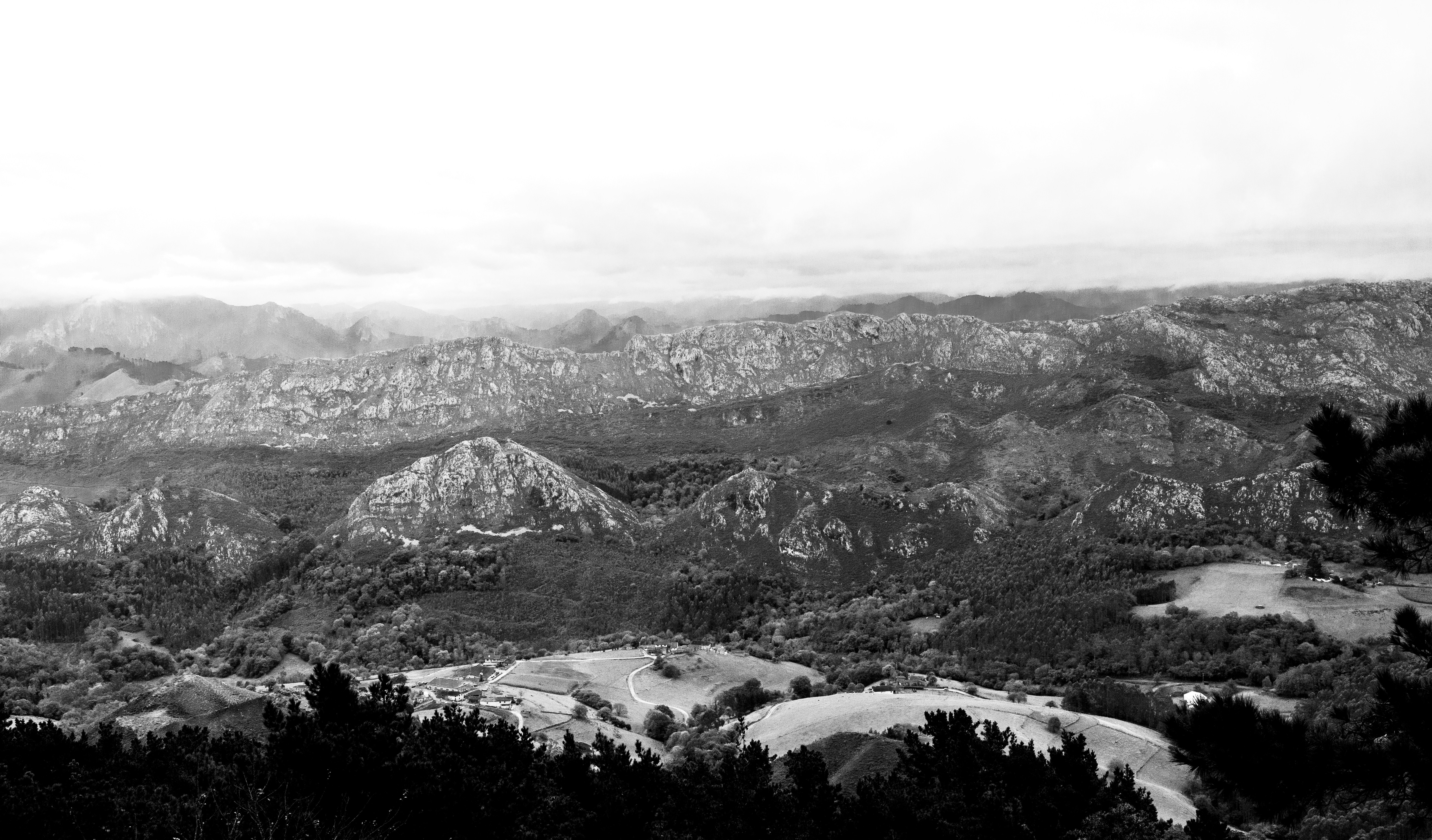 Photo by lapuertagela