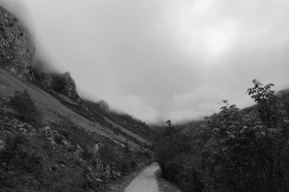 a path on a mountain