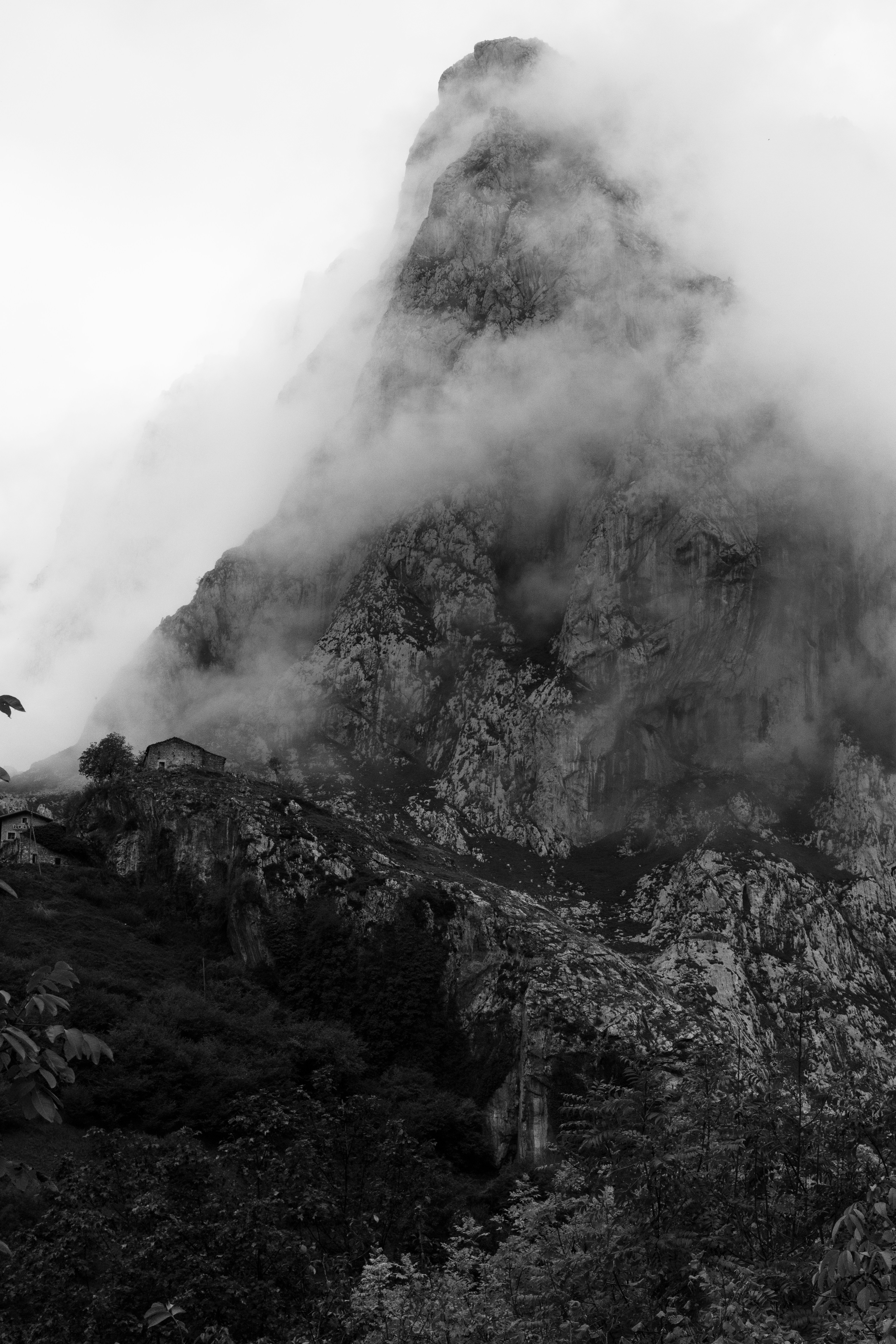 Photo by lapuertagela