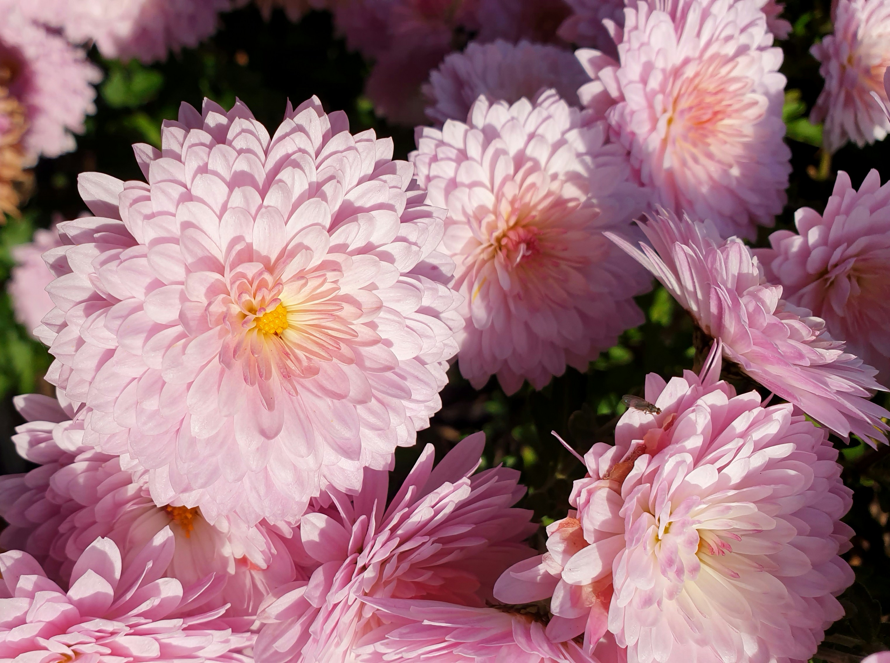 Photo by youdesignme