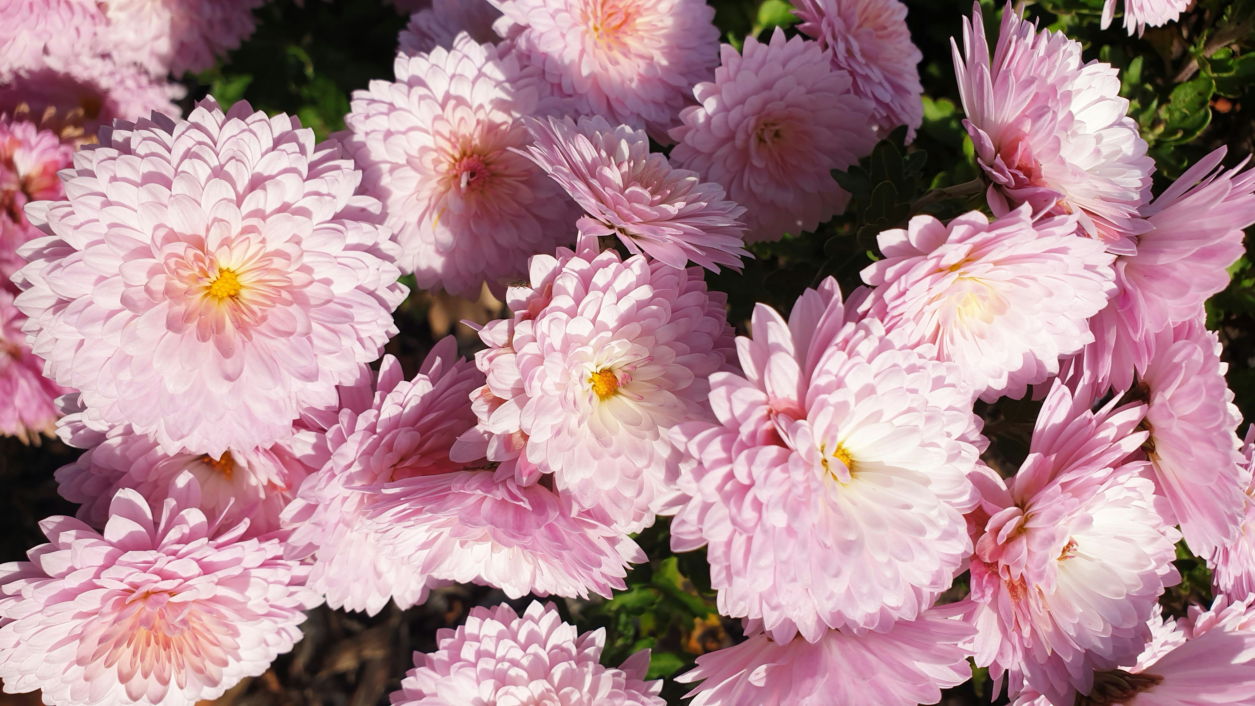 Photo by youdesignme