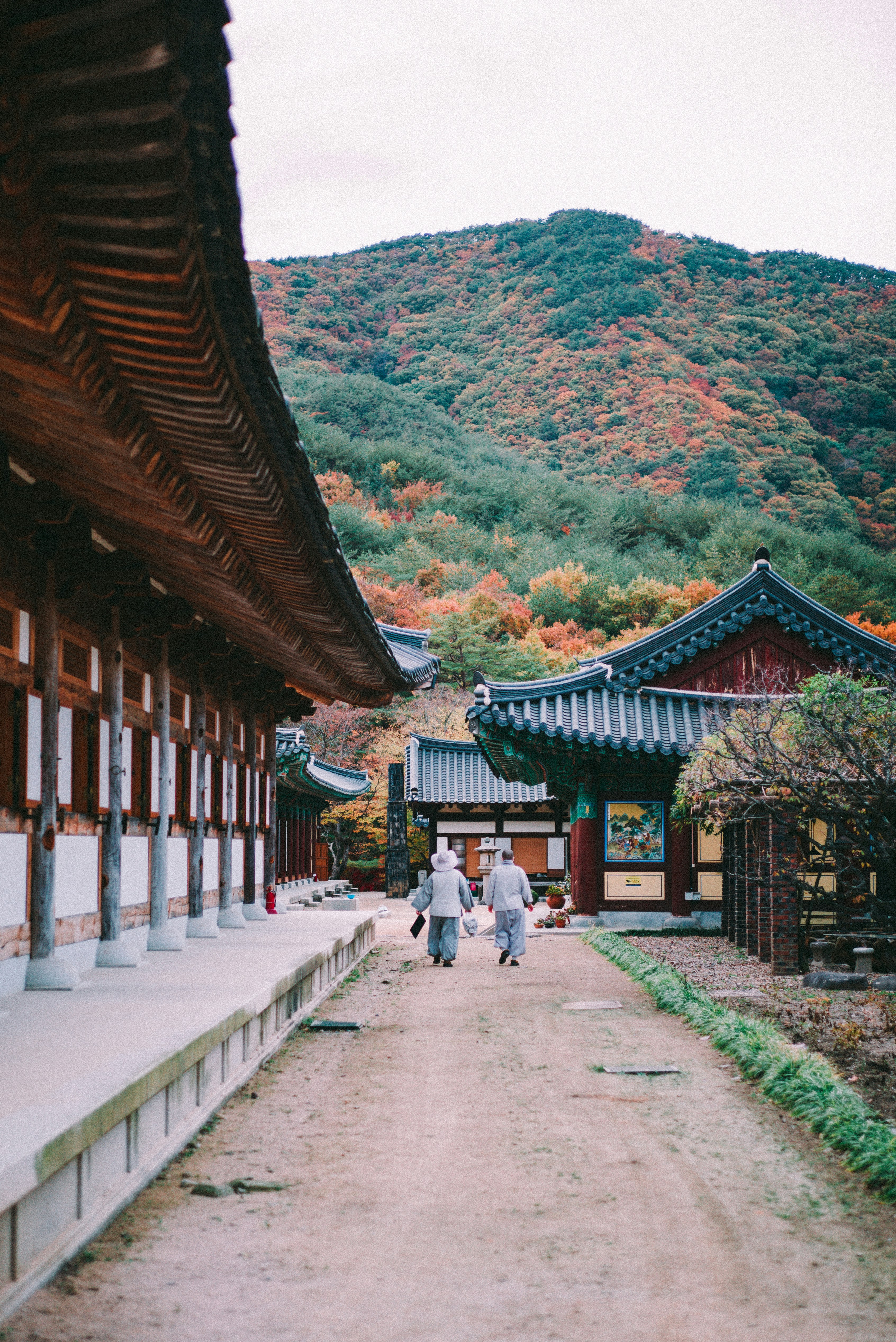 People walking on a path between buildings photo – Free 운문사 Image on ...
