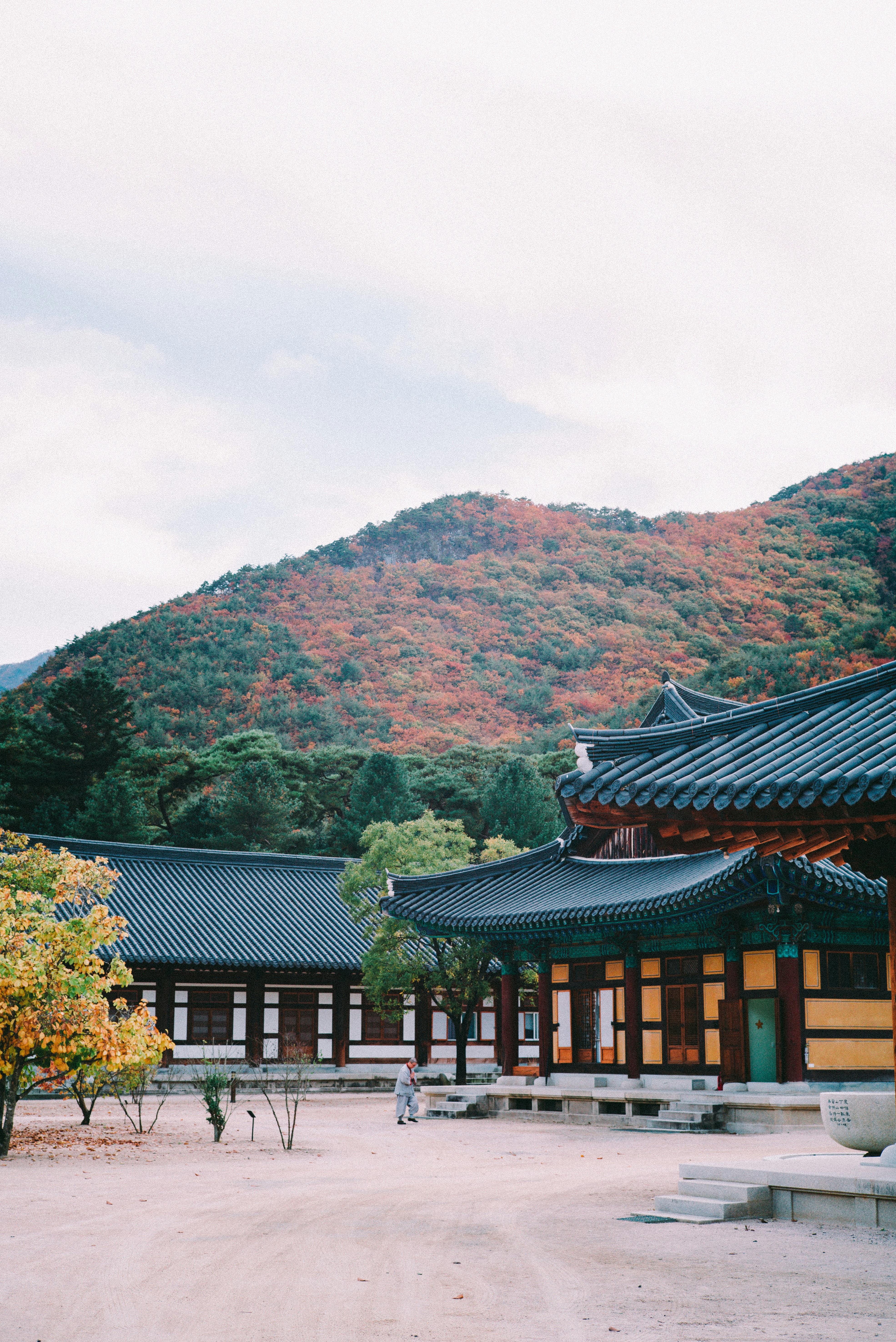 Photo by sunghunkim
