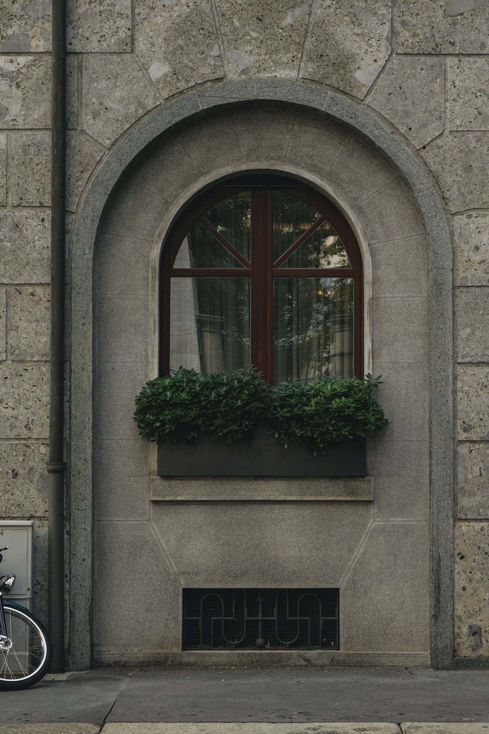 a window with plants in it