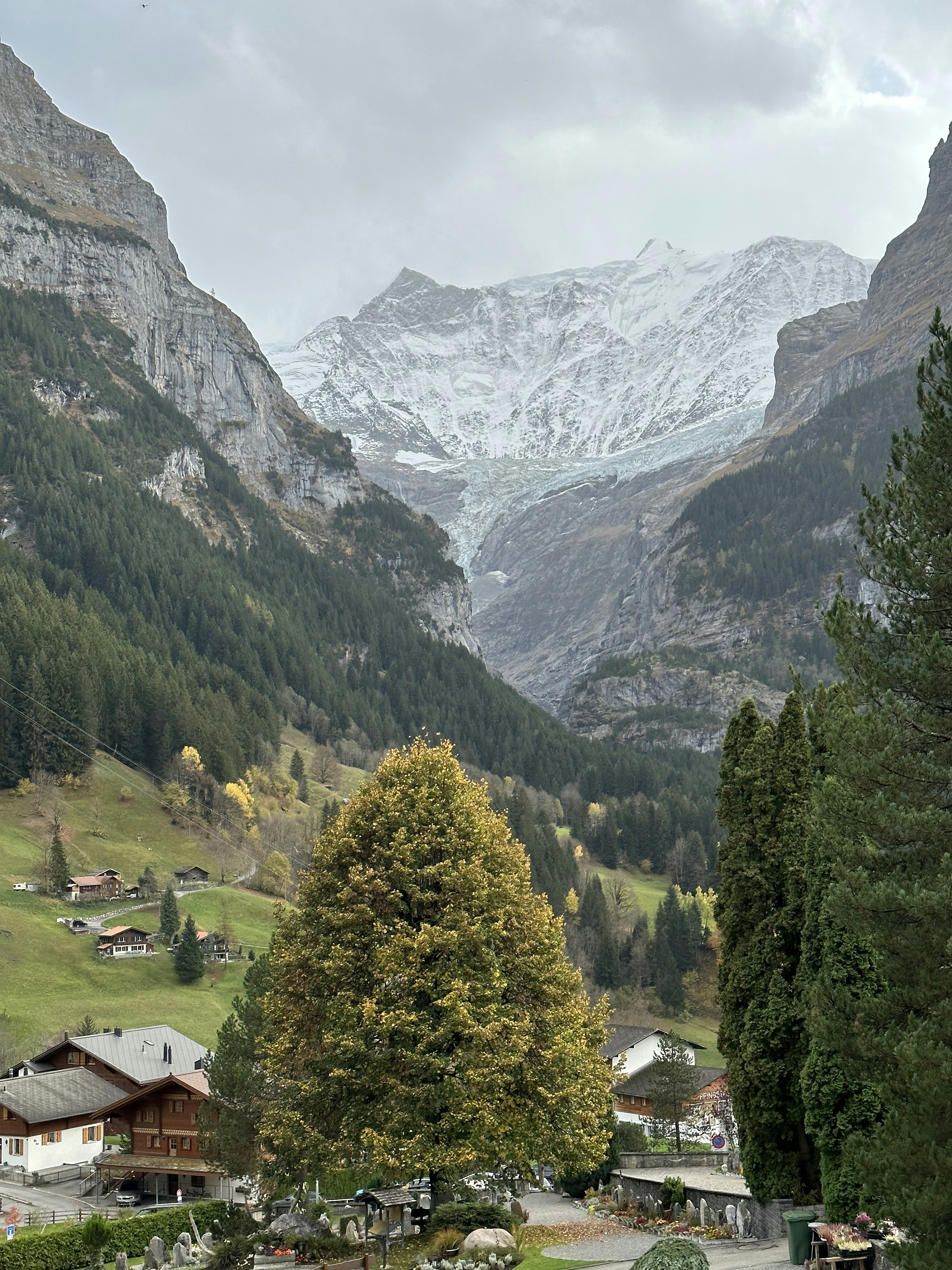 Breaking News: Local Woman Chooses Chaos Over Consistency (Again)