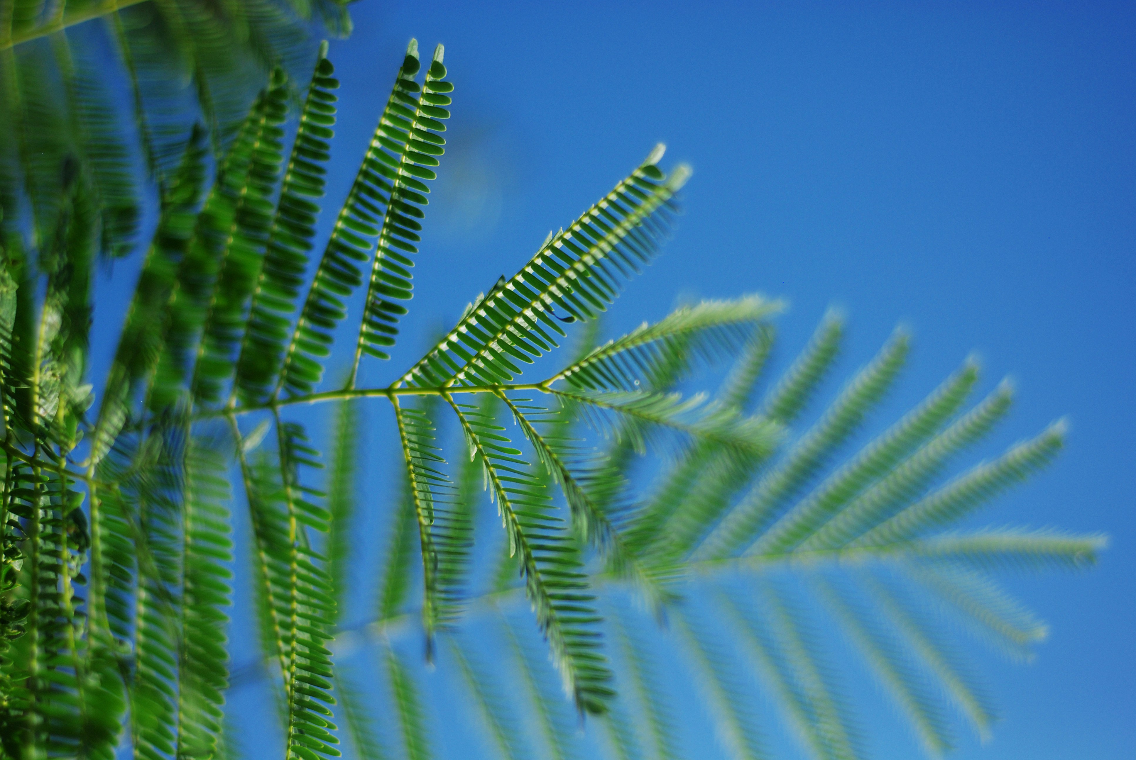 Photo by kovalskihelga