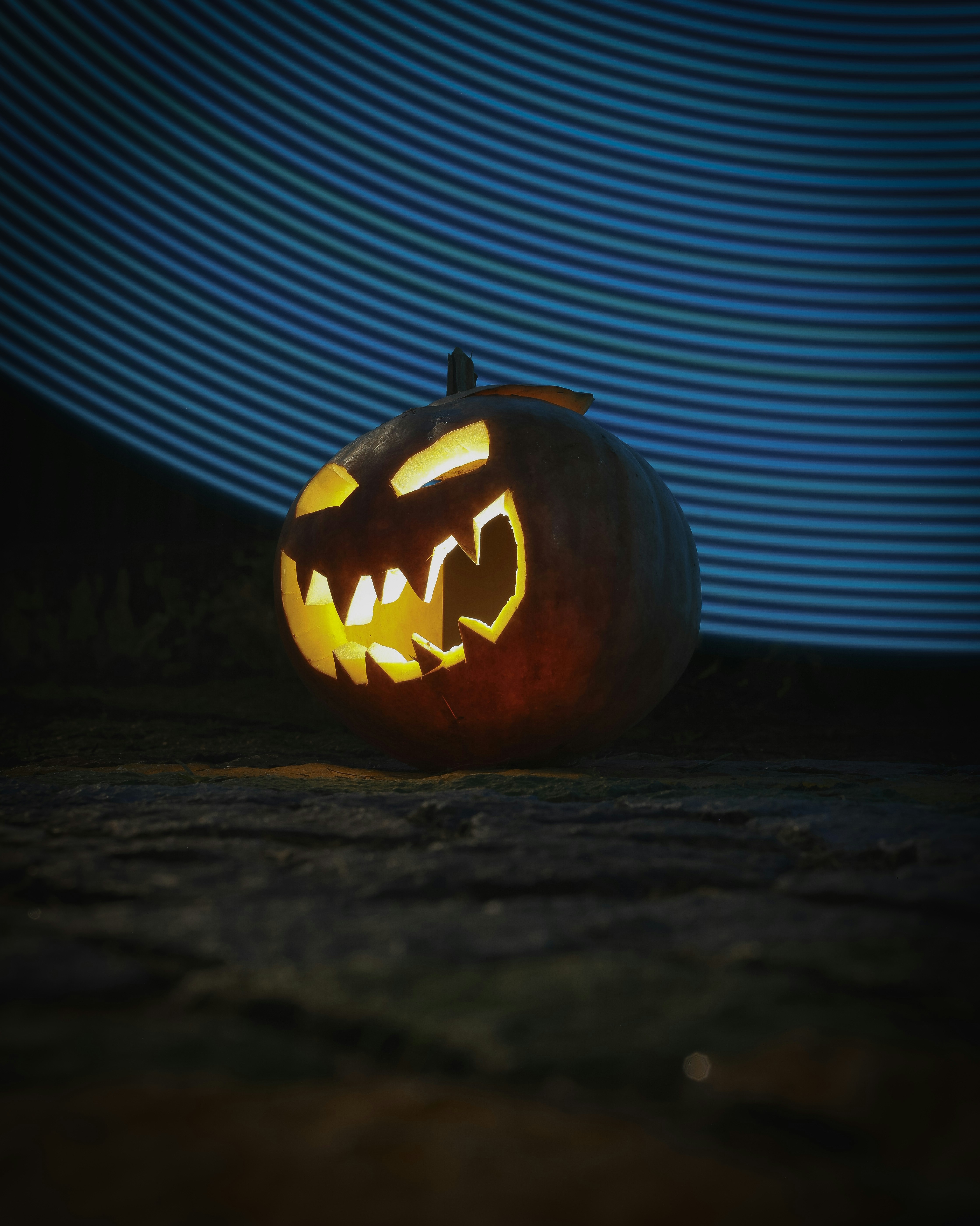 Photo by maxwell_max