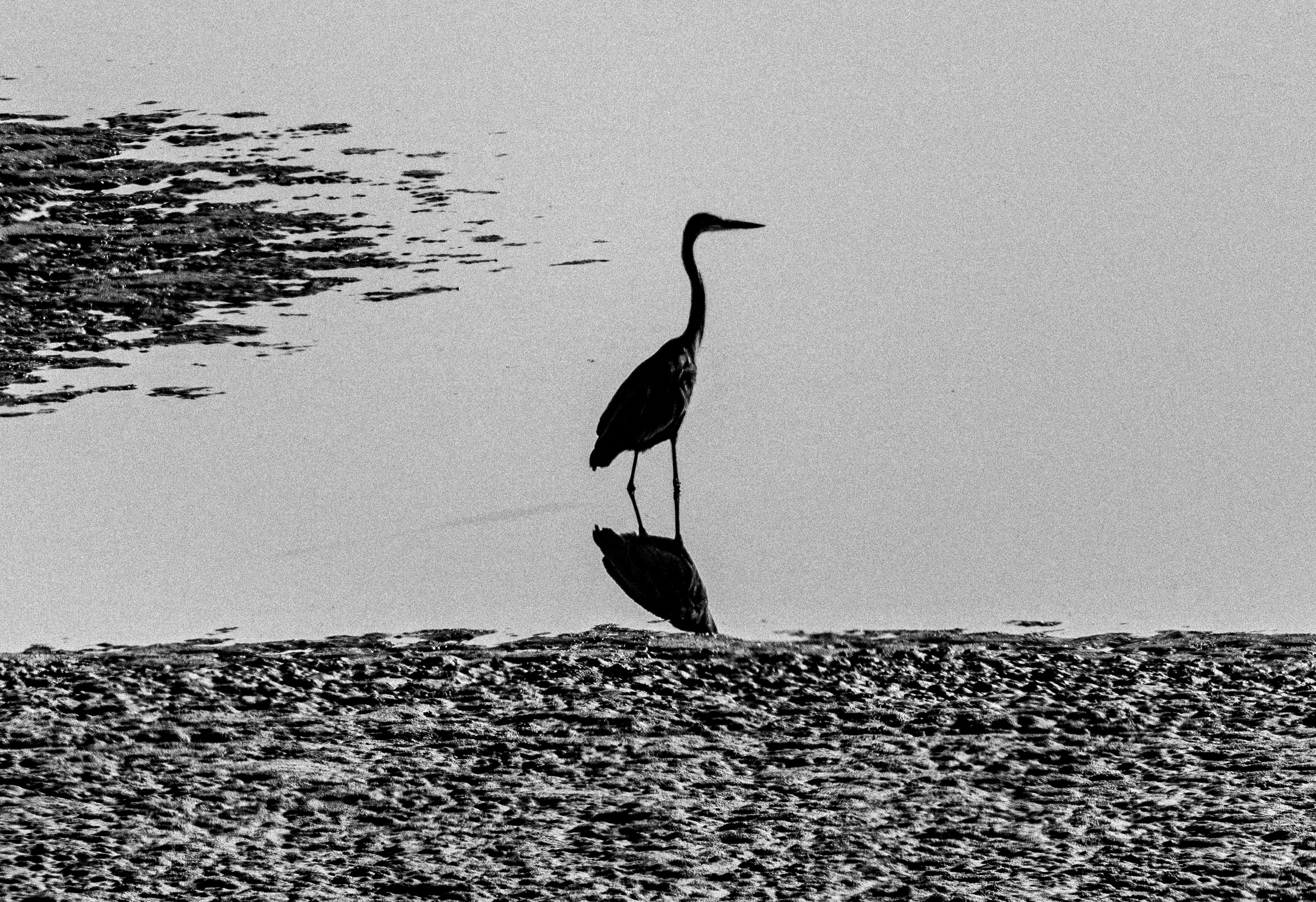 Photo by charl_durand