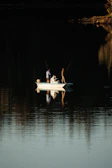 a group of people stand on a boat in the water