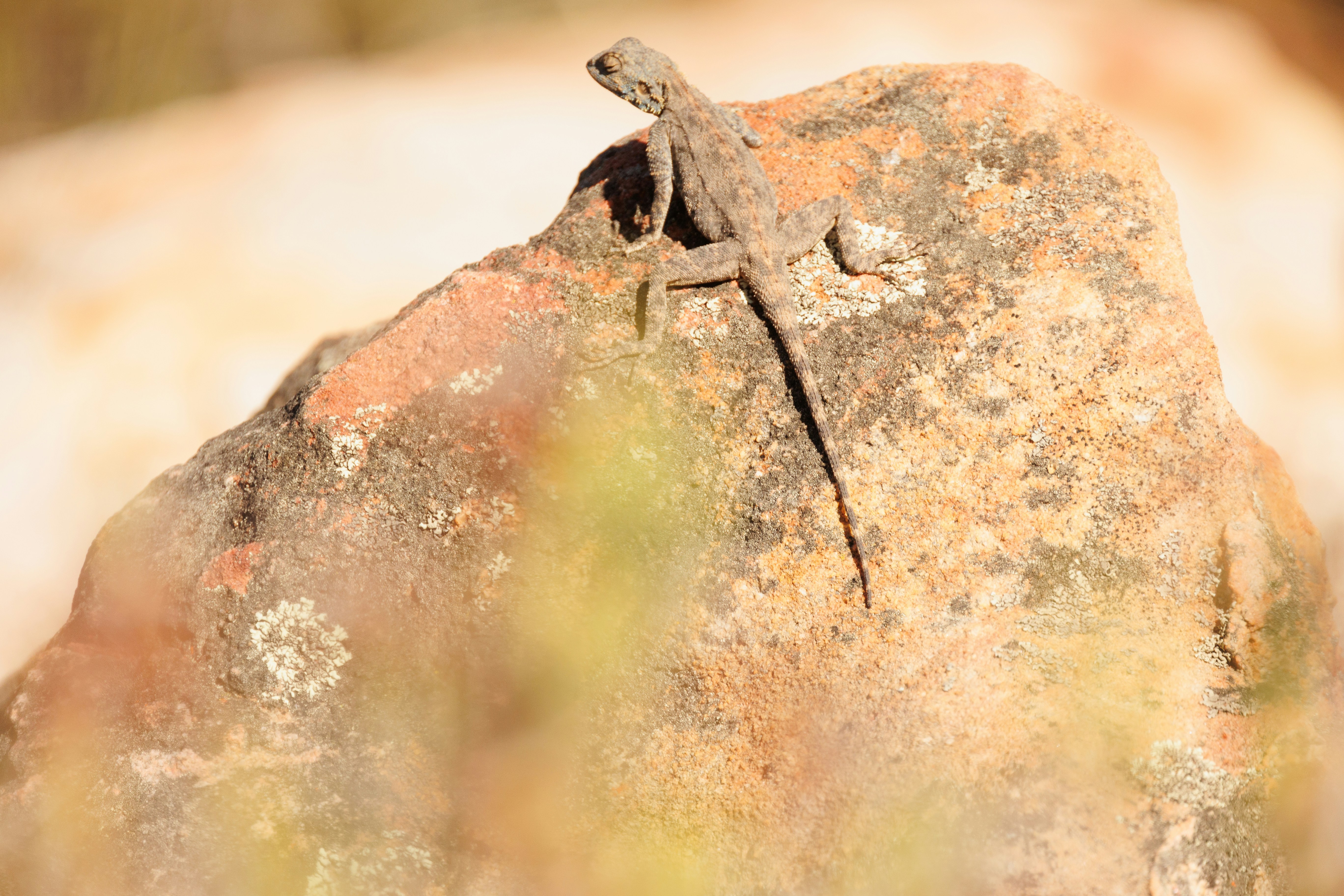 Photo by charl_durand