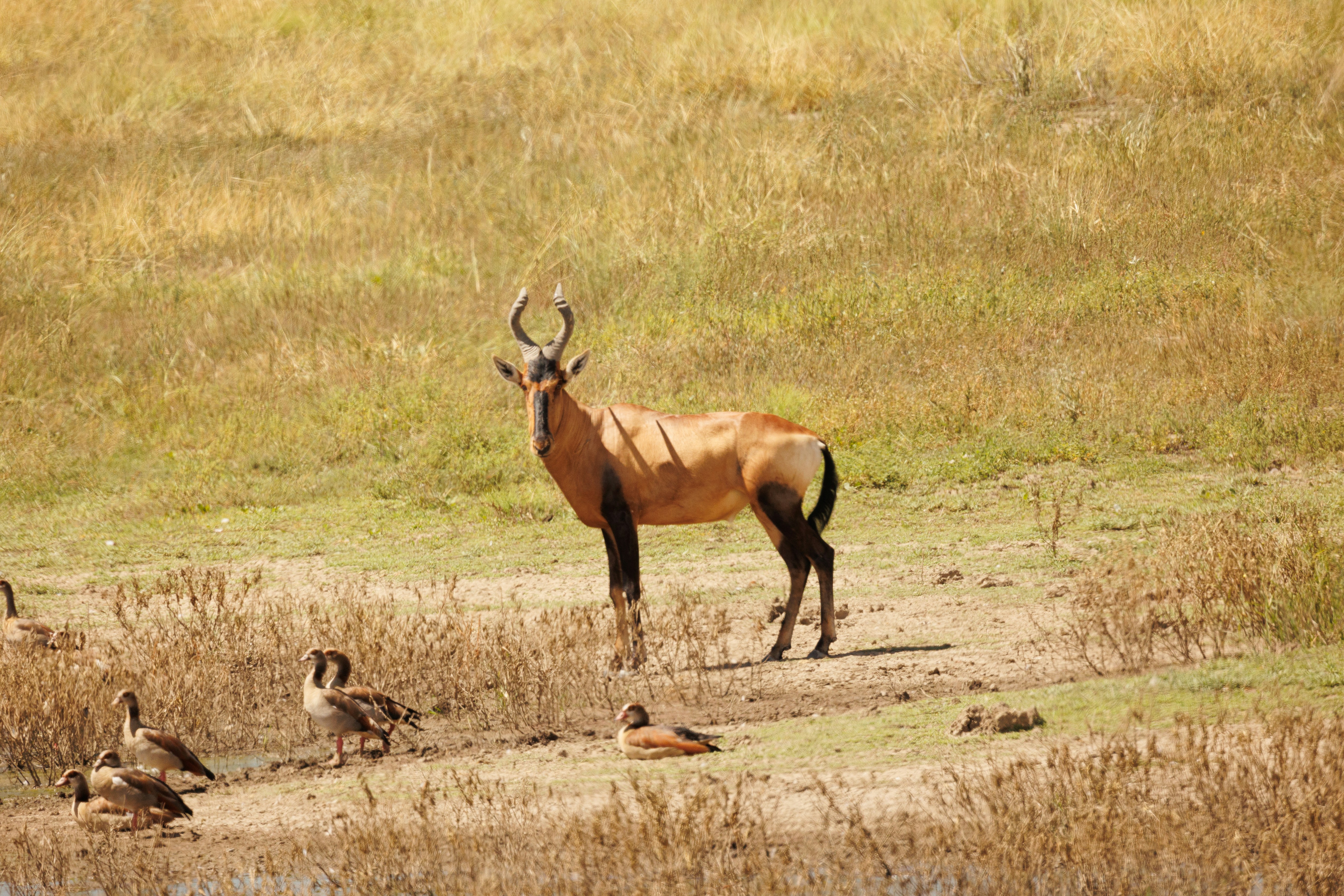 Photo by charl_durand