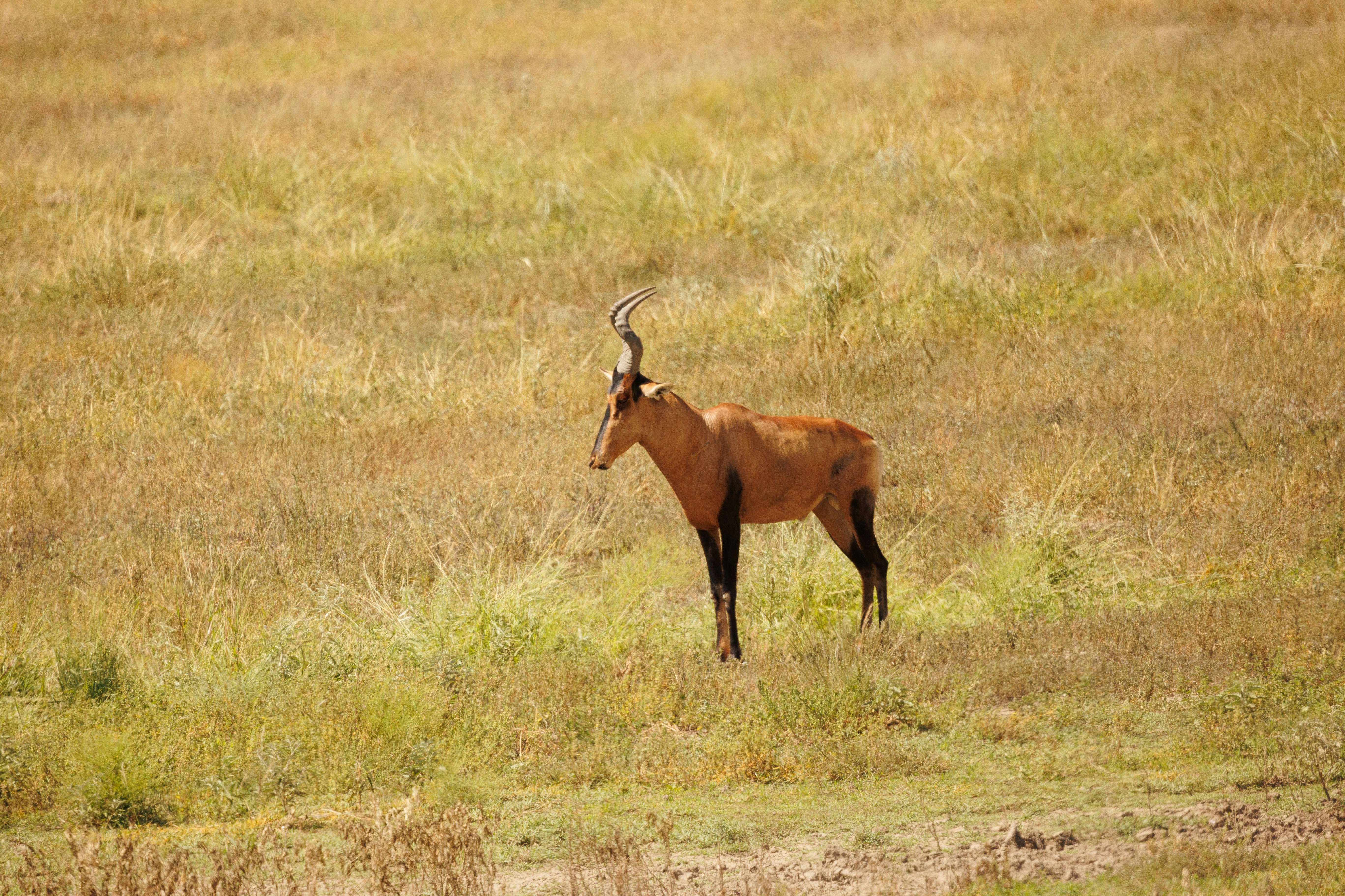 Photo by charl_durand