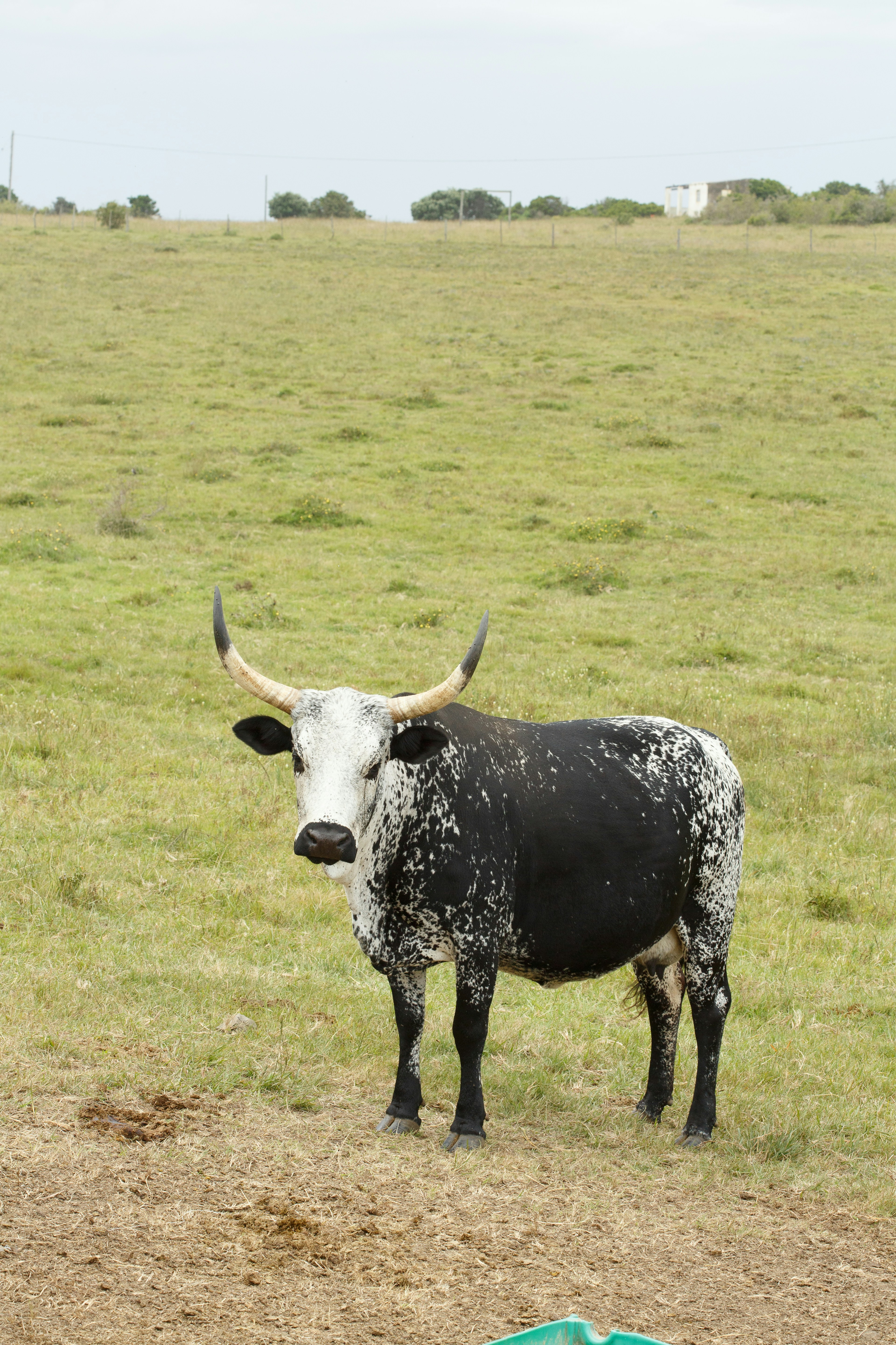 Photo by charl_durand