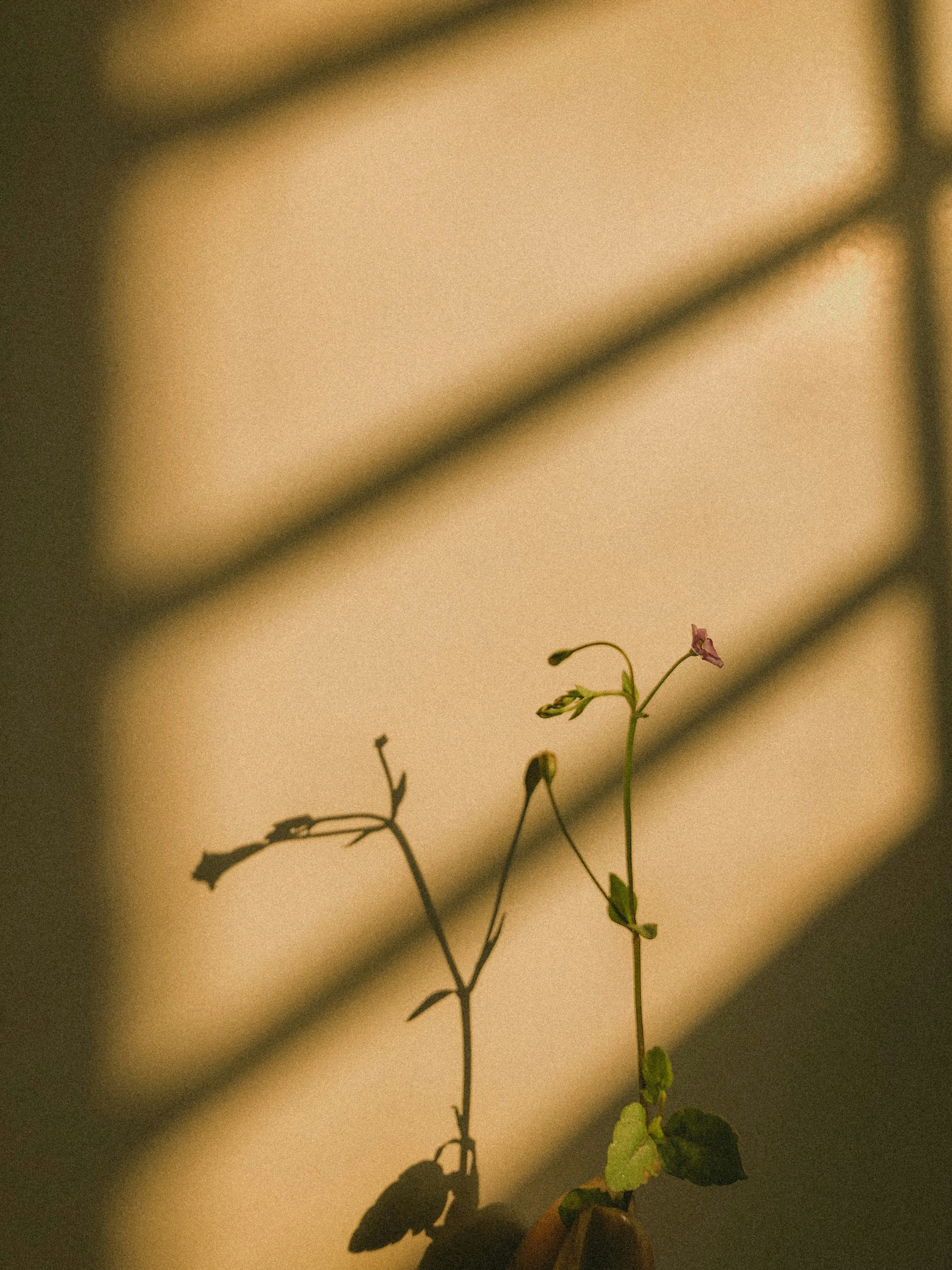 Photo by aryasphotodiary