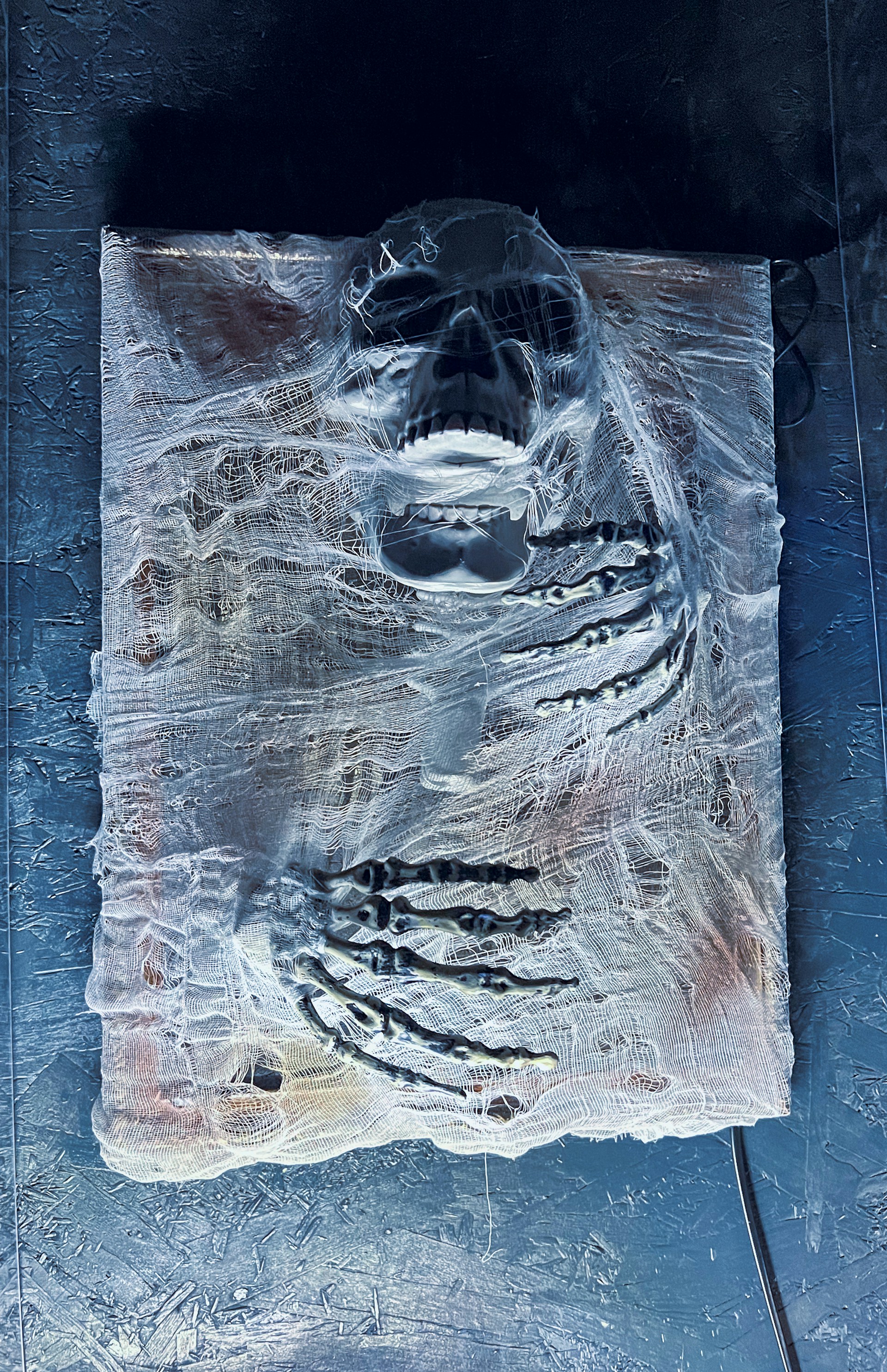 A skeletal figure is partially wrapped in a netting or gauze-like material, resting on a textured surface with dark ambient lighting. The skull and hands are prominently visible through the layers, creating a haunting and eerie visual effect.