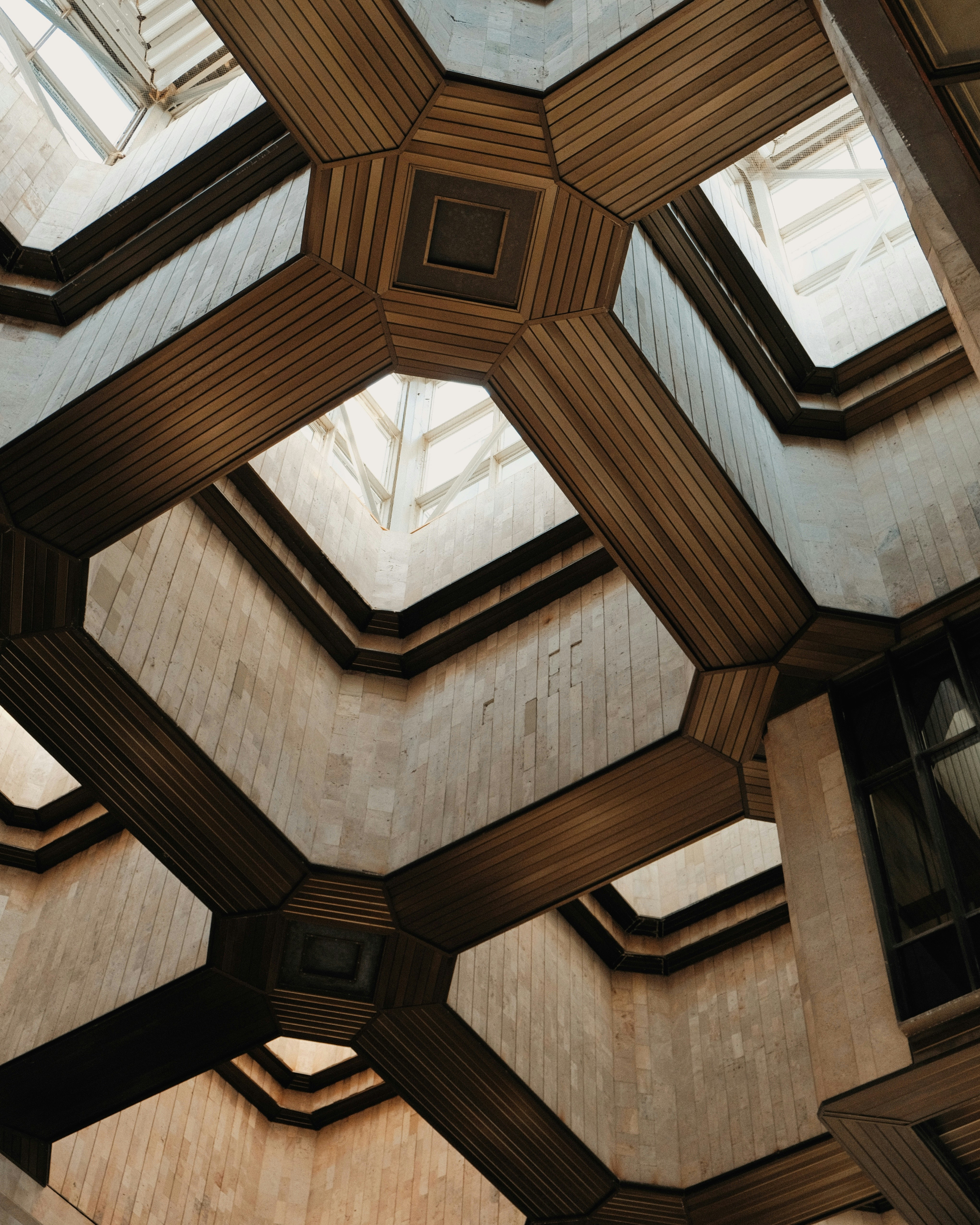 Photo by fujisideofthe_lin