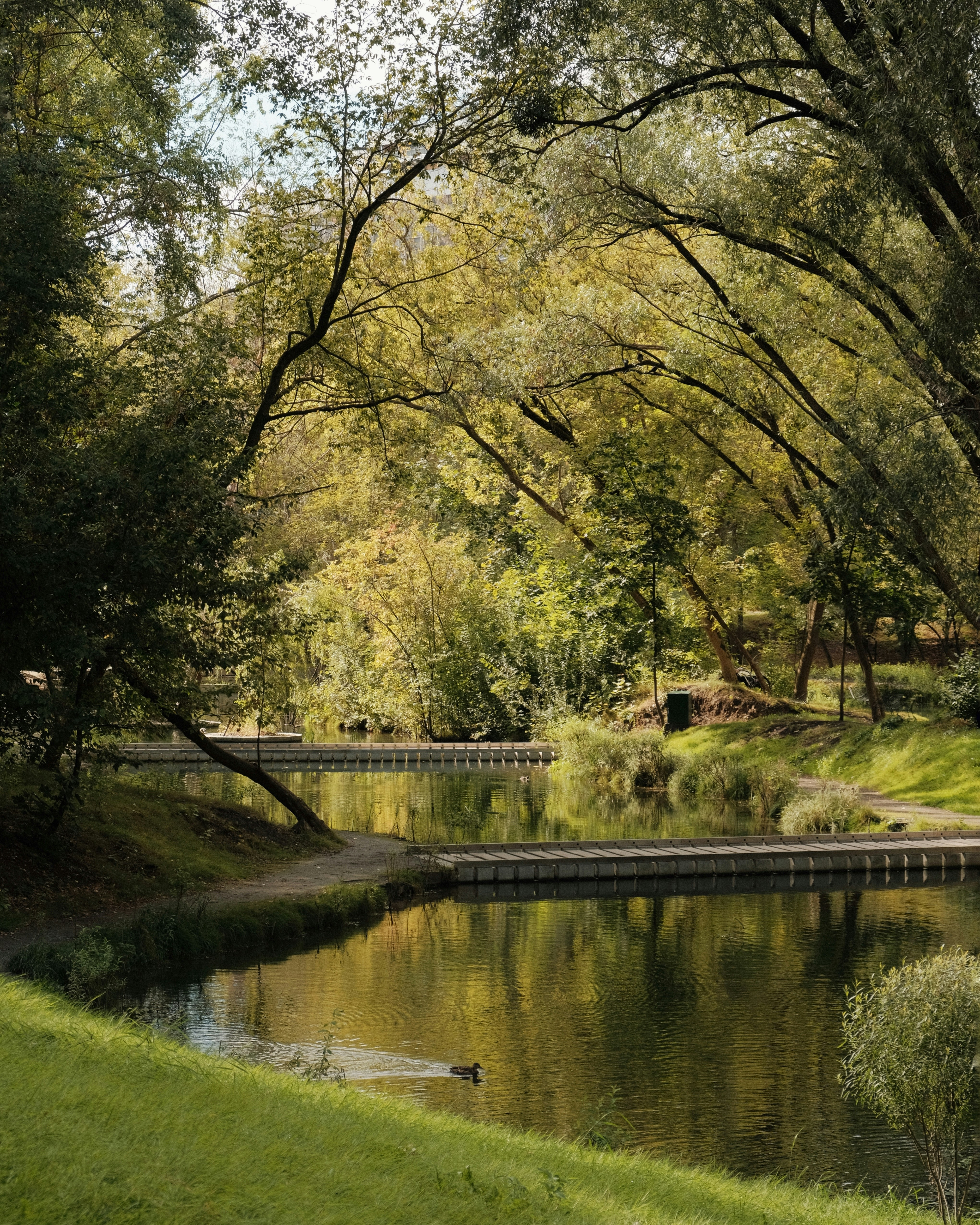 Photo by fujisideofthe_lin