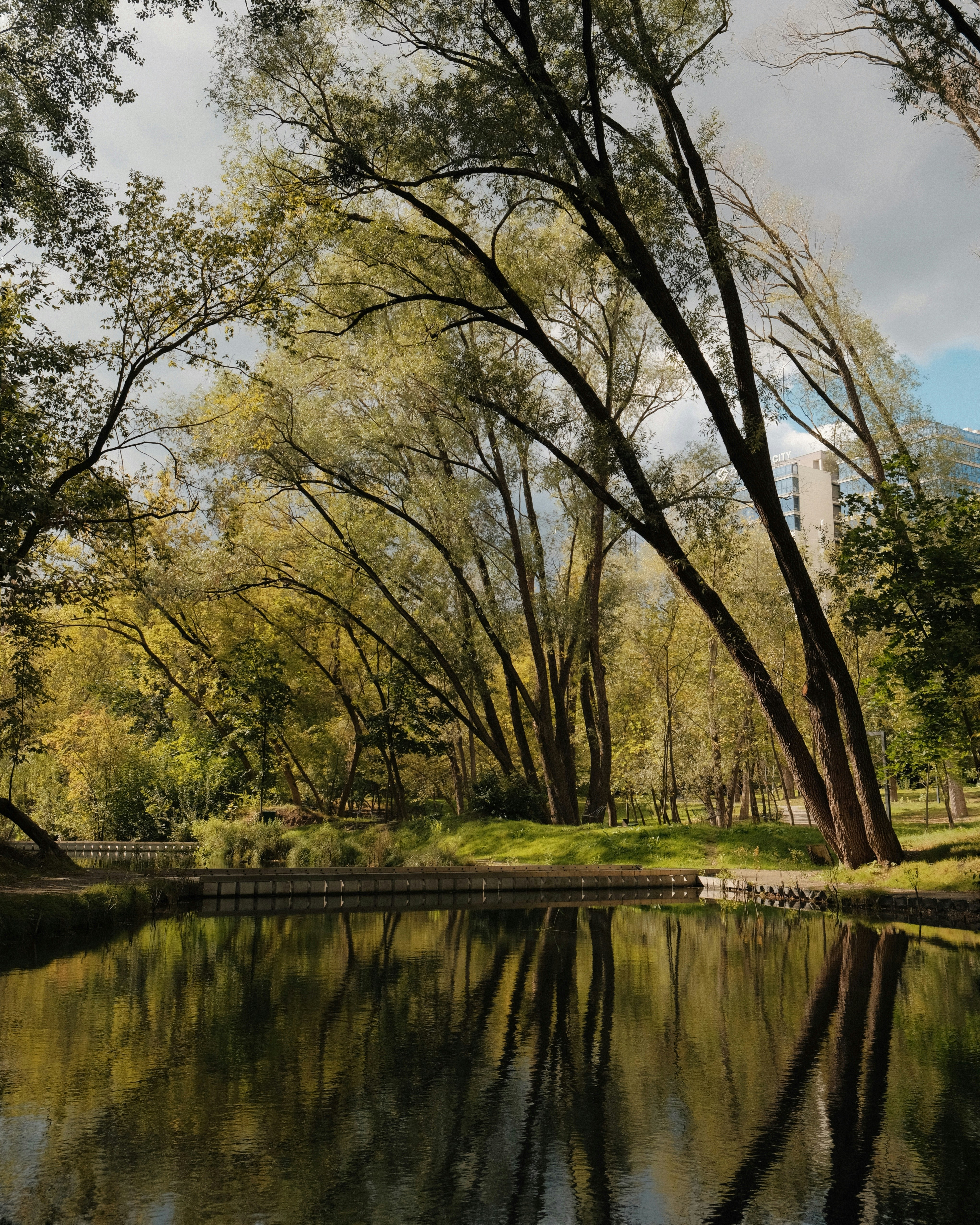 Photo by fujisideofthe_lin