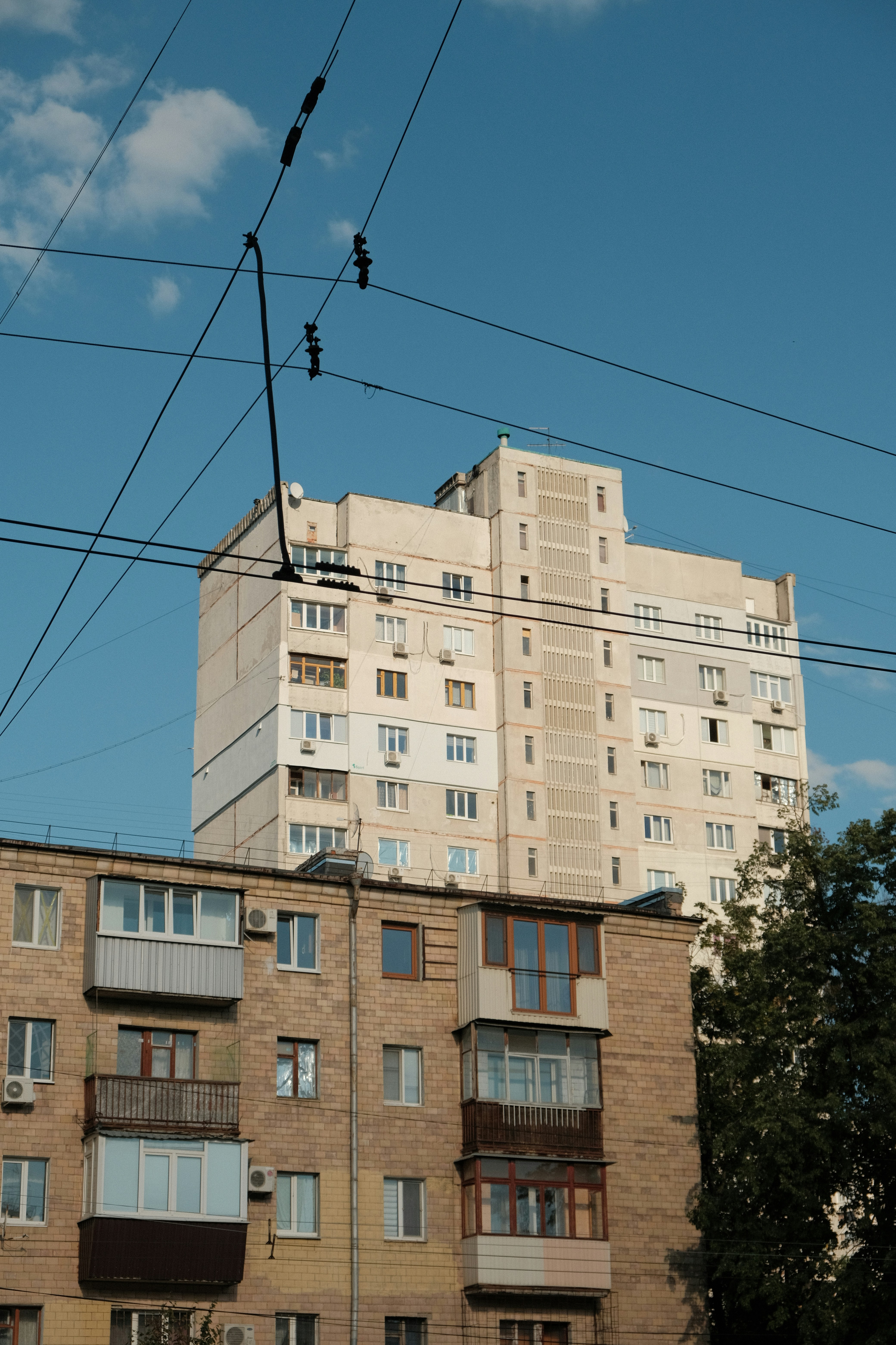 Photo by fujisideofthe_lin