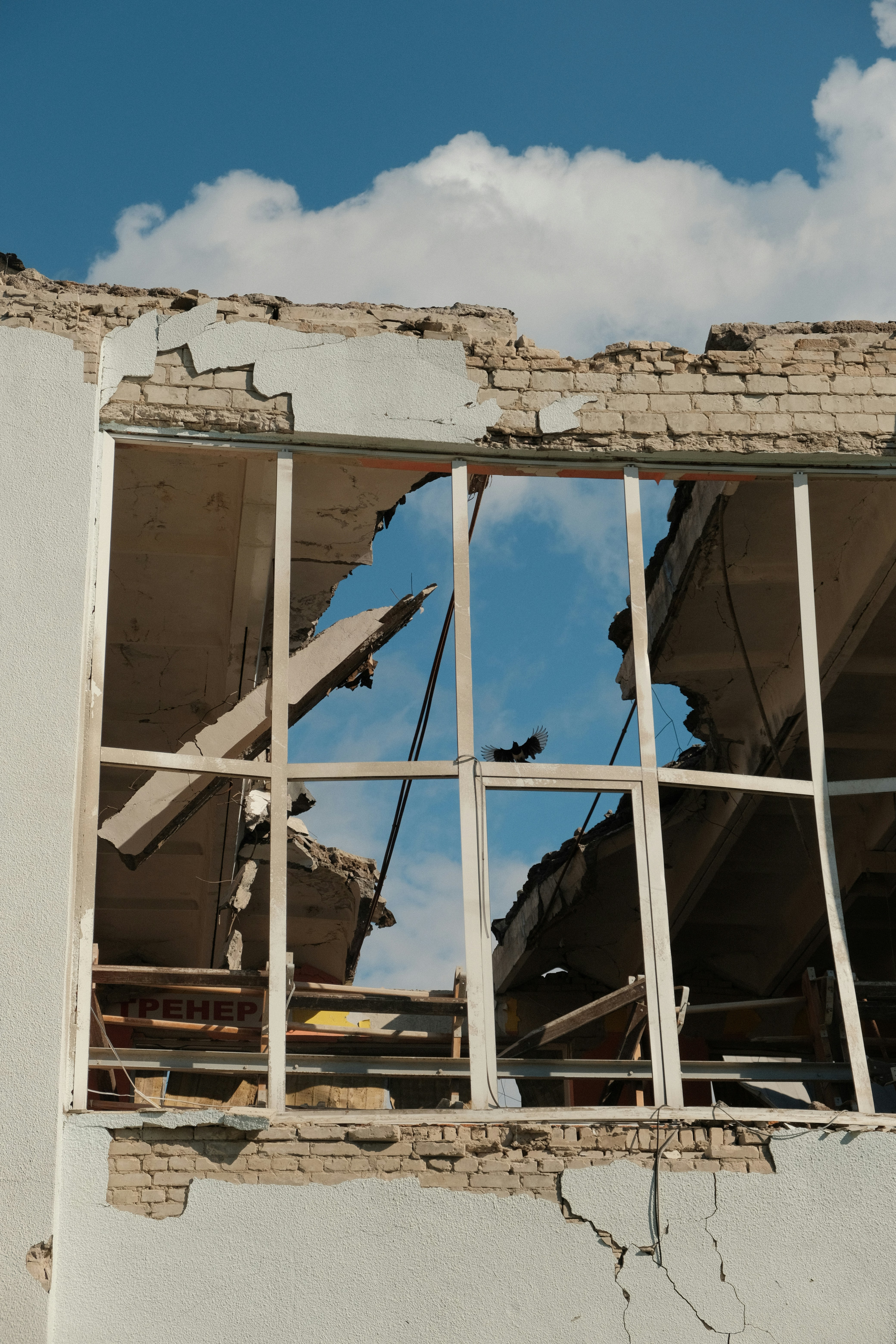 Photo by fujisideofthe_lin