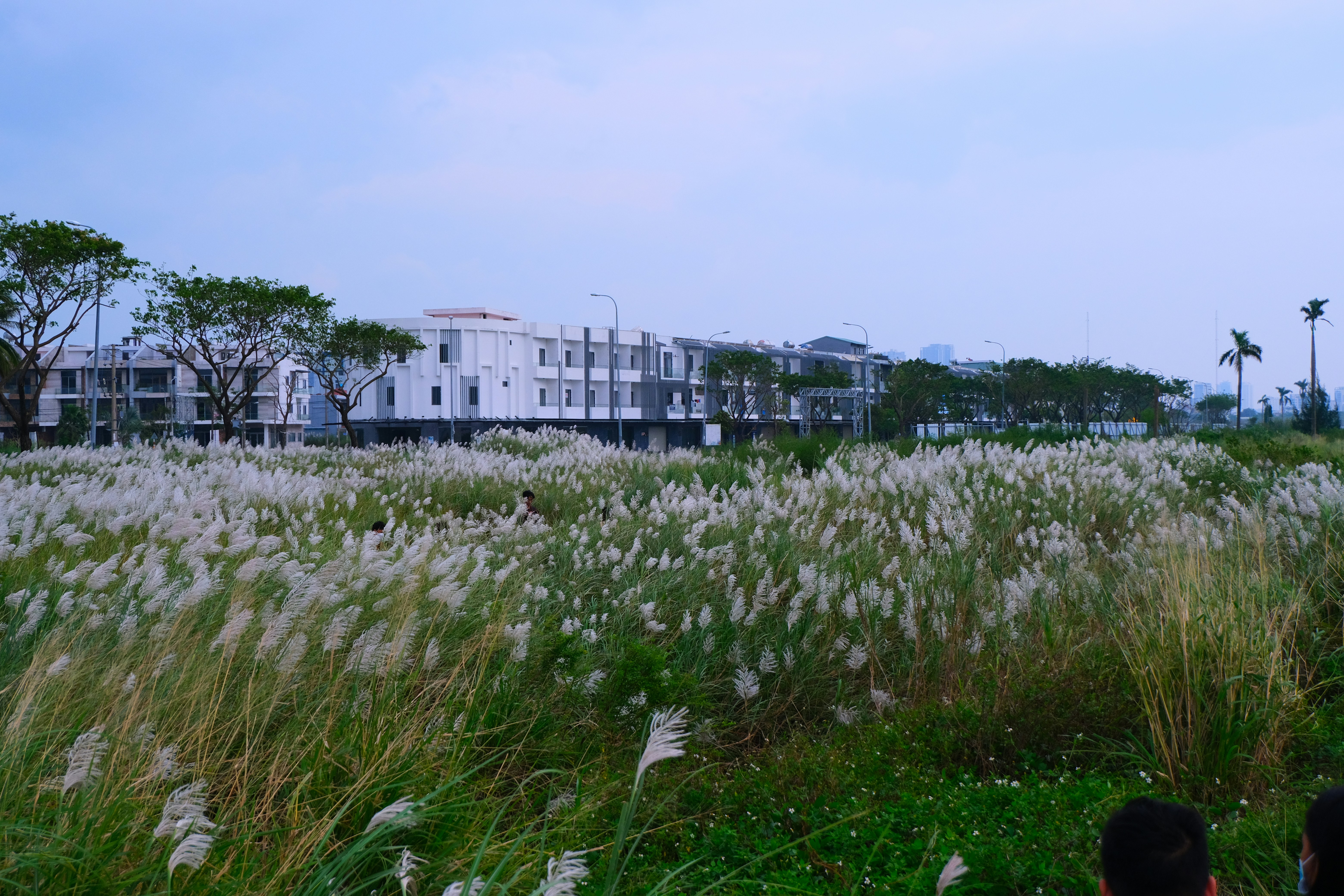 Amelia White Park