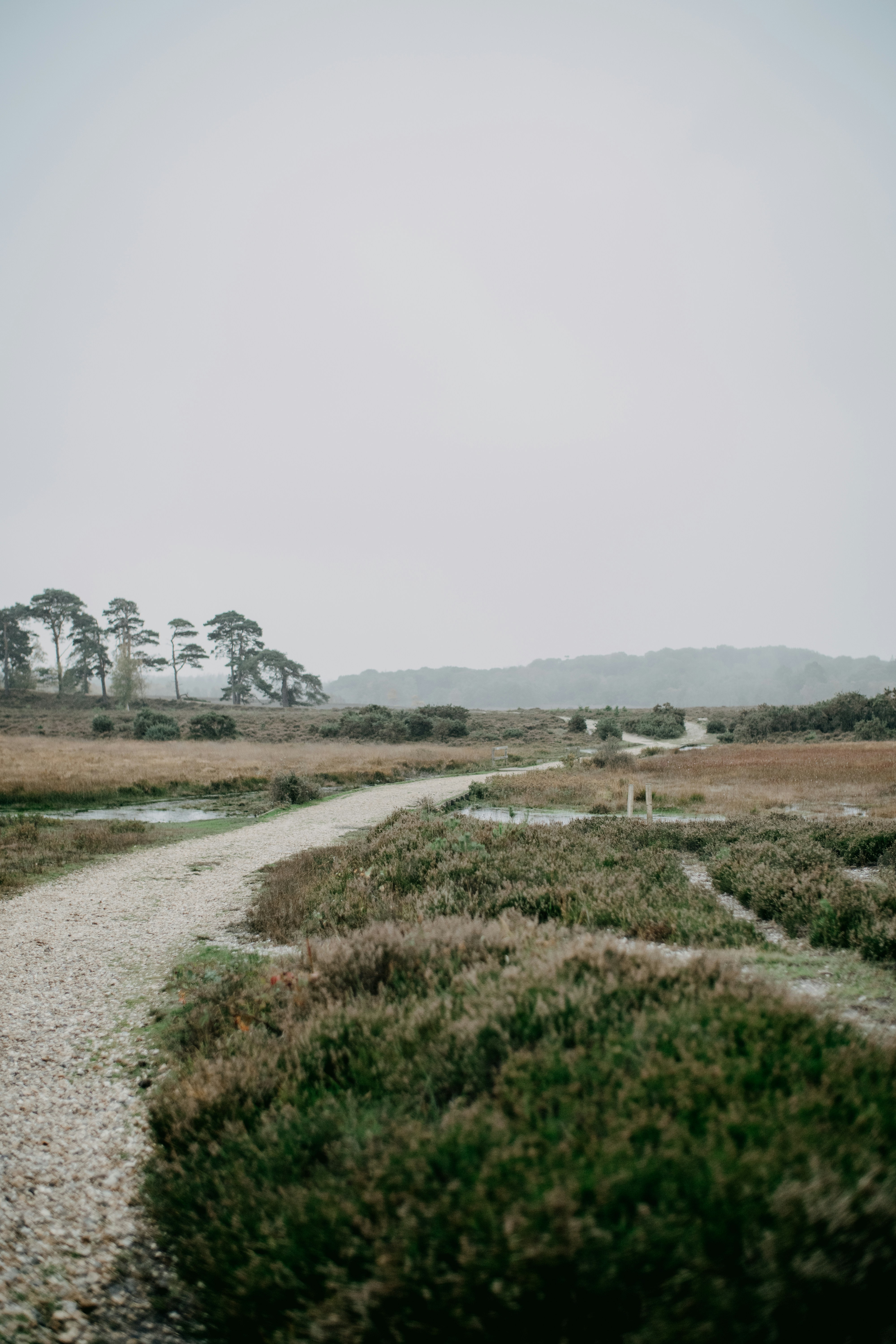 Photo by anniespratt