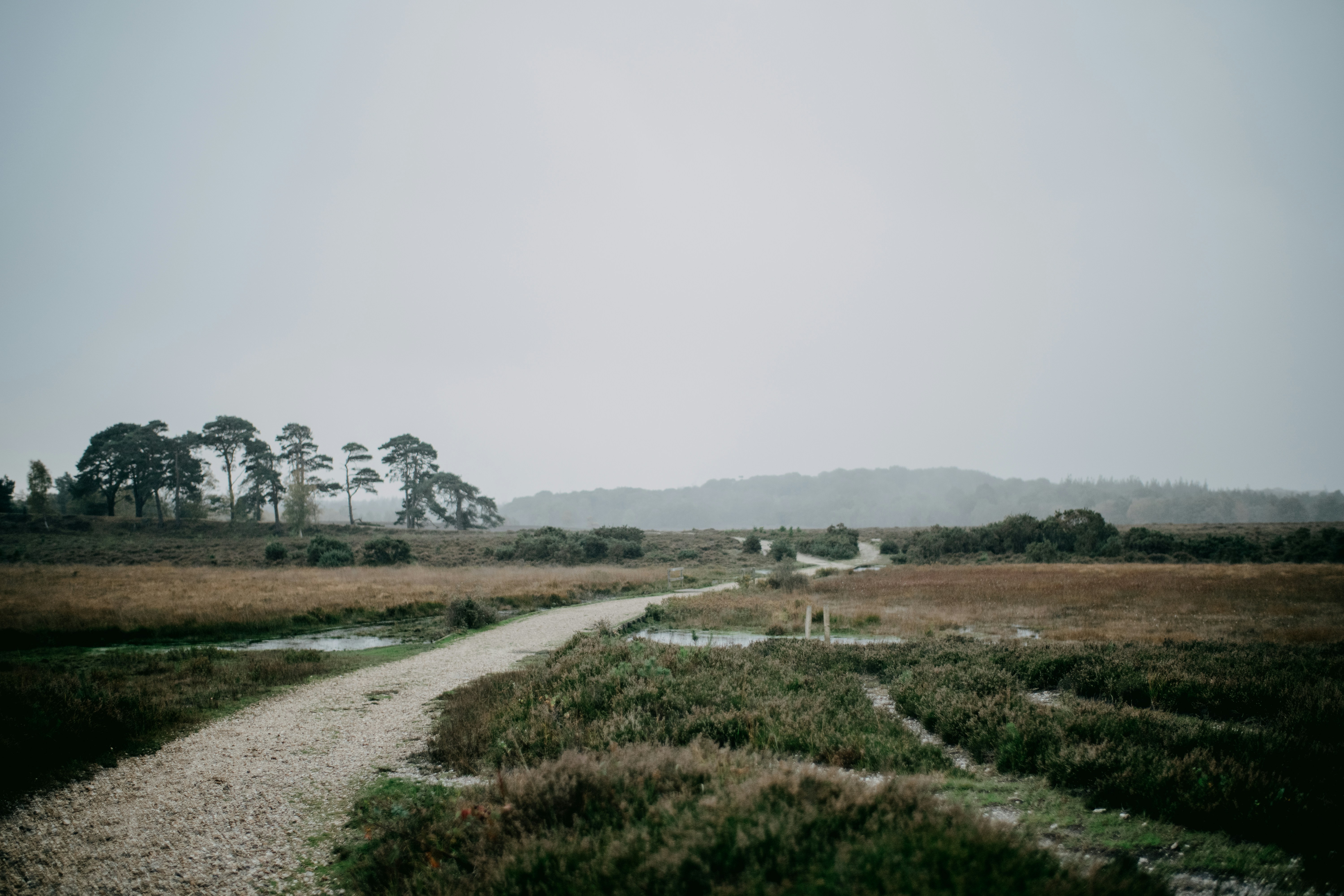 Photo by anniespratt