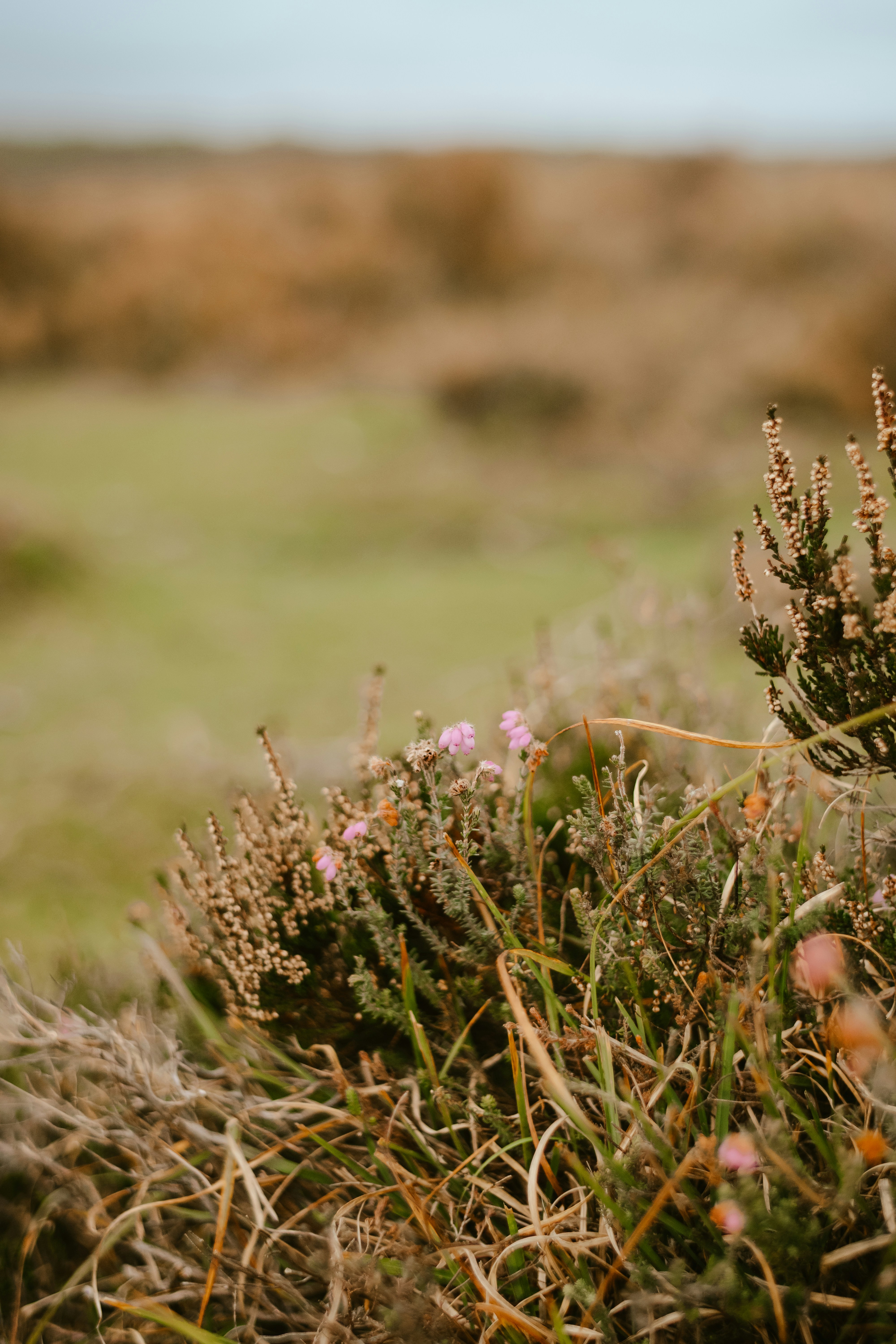 Photo by anniespratt