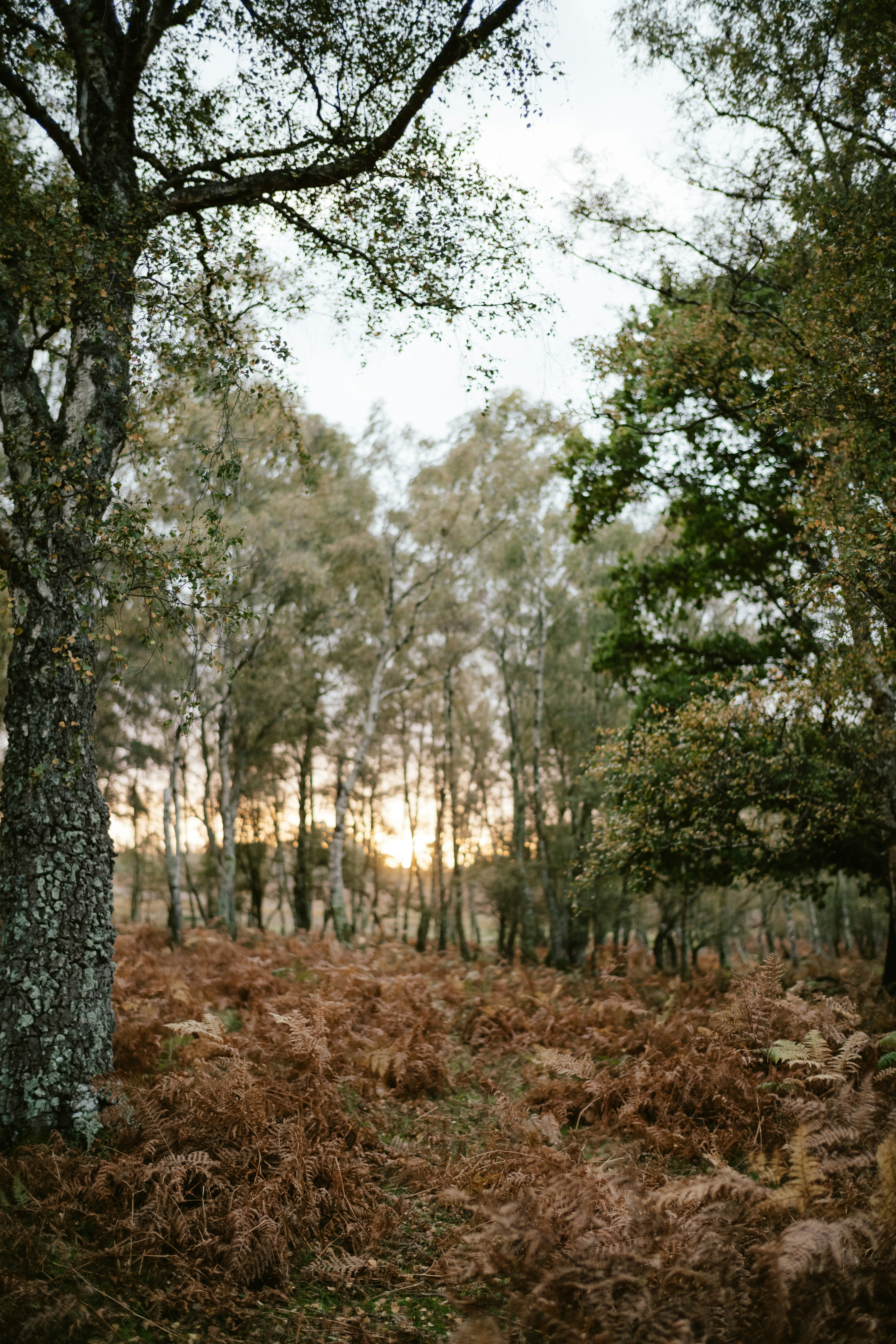 Photo by anniespratt