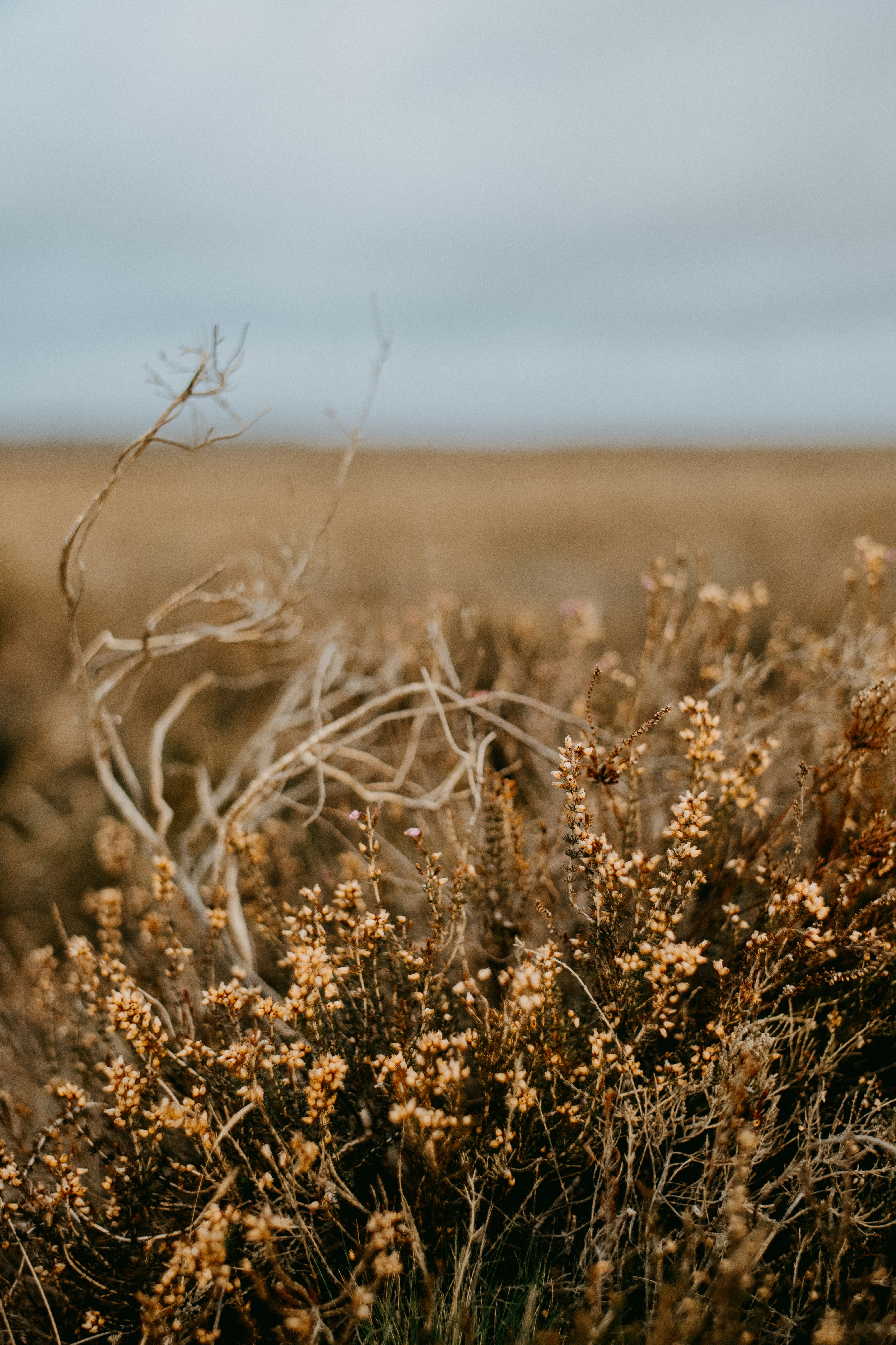 Photo by anniespratt