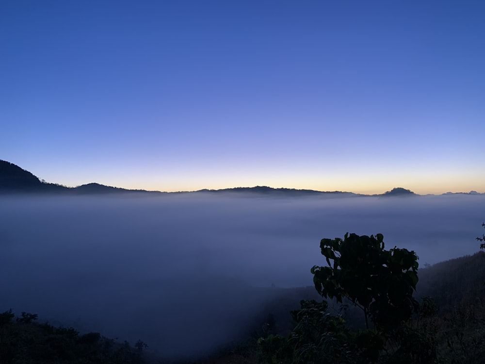 una vista di una valle nebbiosa