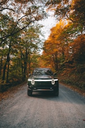 a car parked on a road with trees on either side of it