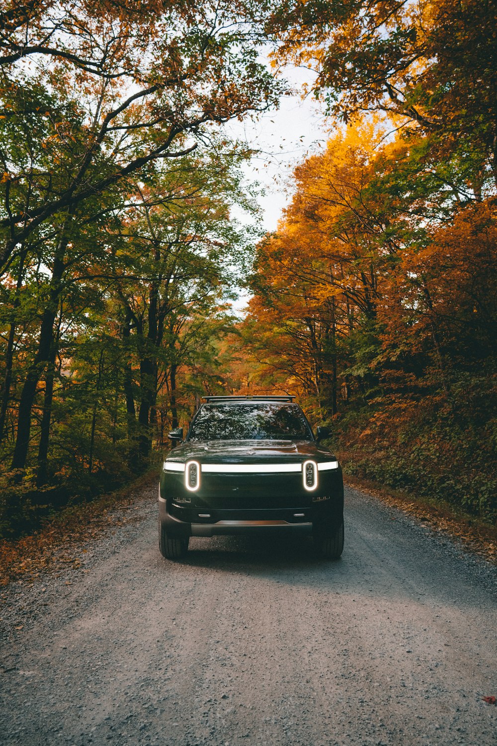 a car parked on a road with trees on either side of it