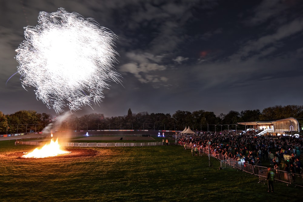 a crowd of people watching a fireworks display