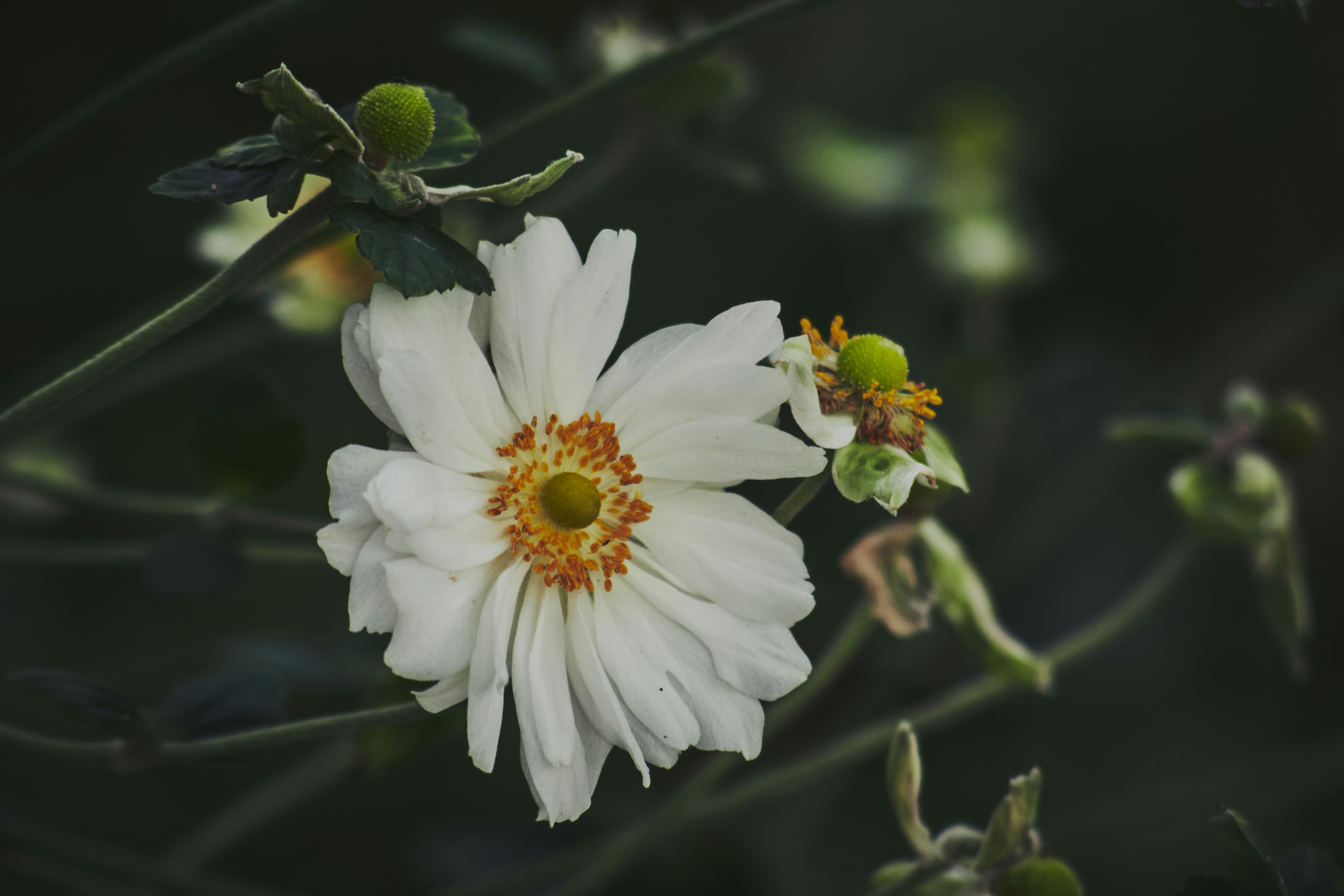 Photo by perfectmirror