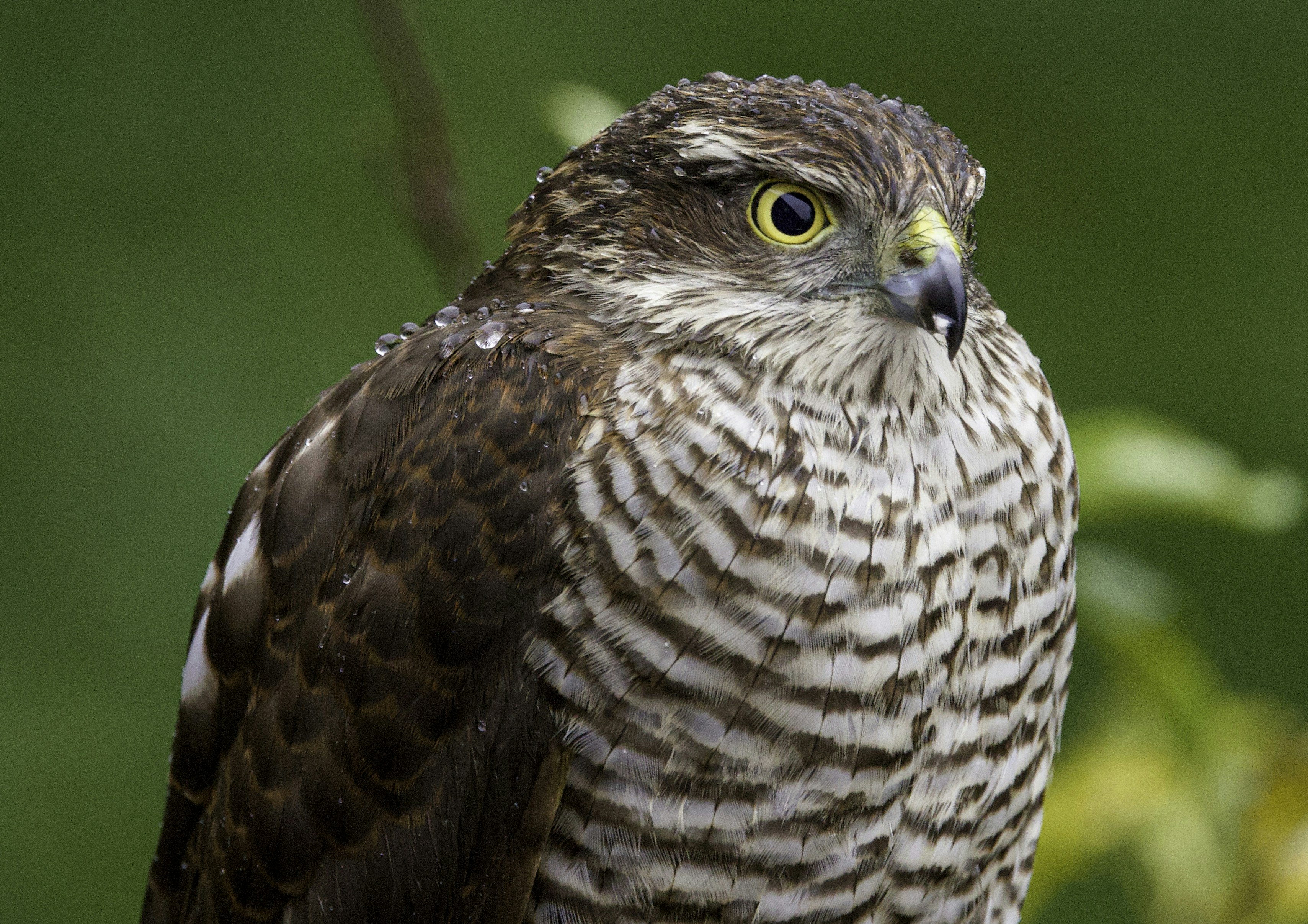 Photo by heather_wilde